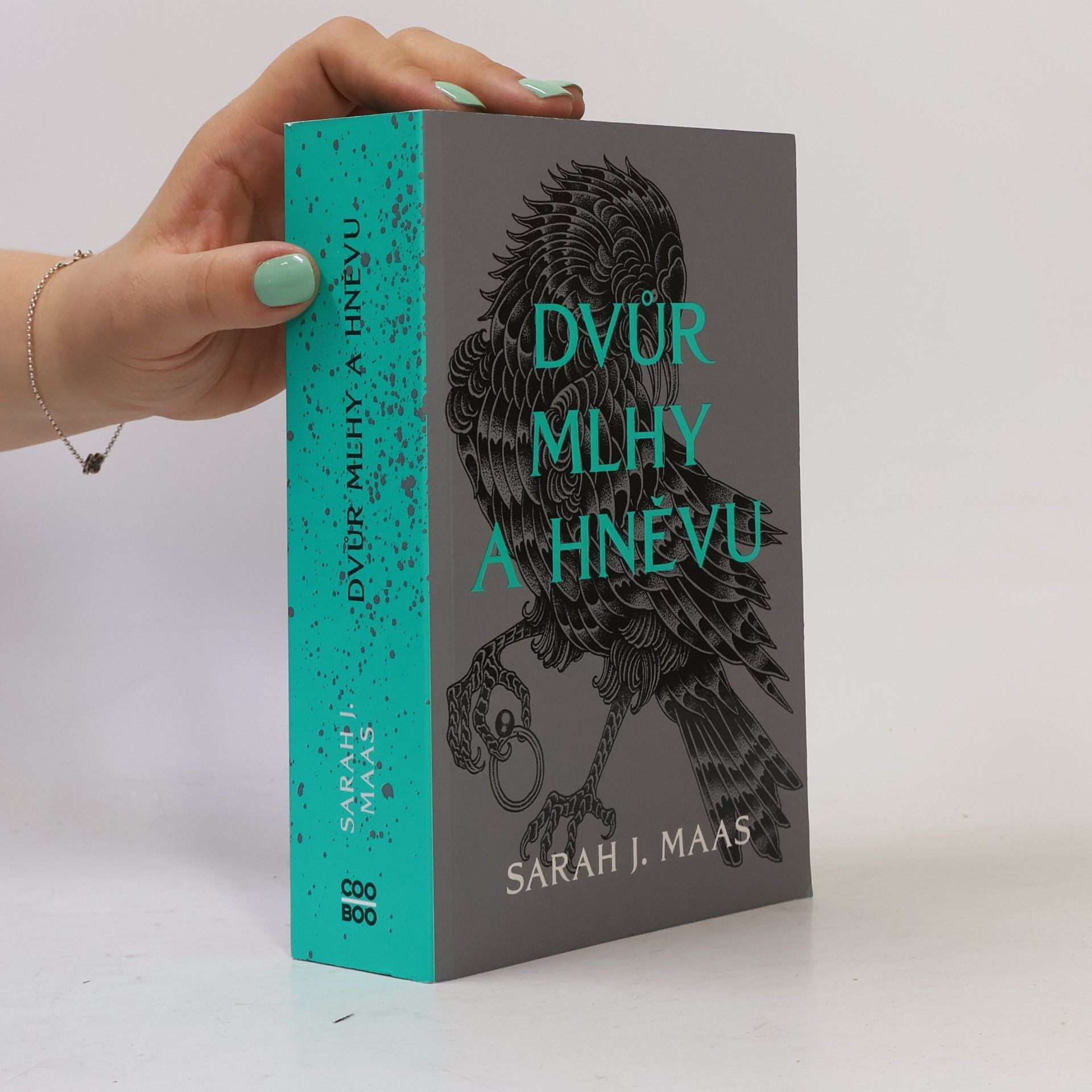 Sarah J. Maas Dvůr mlhy a hněvu
