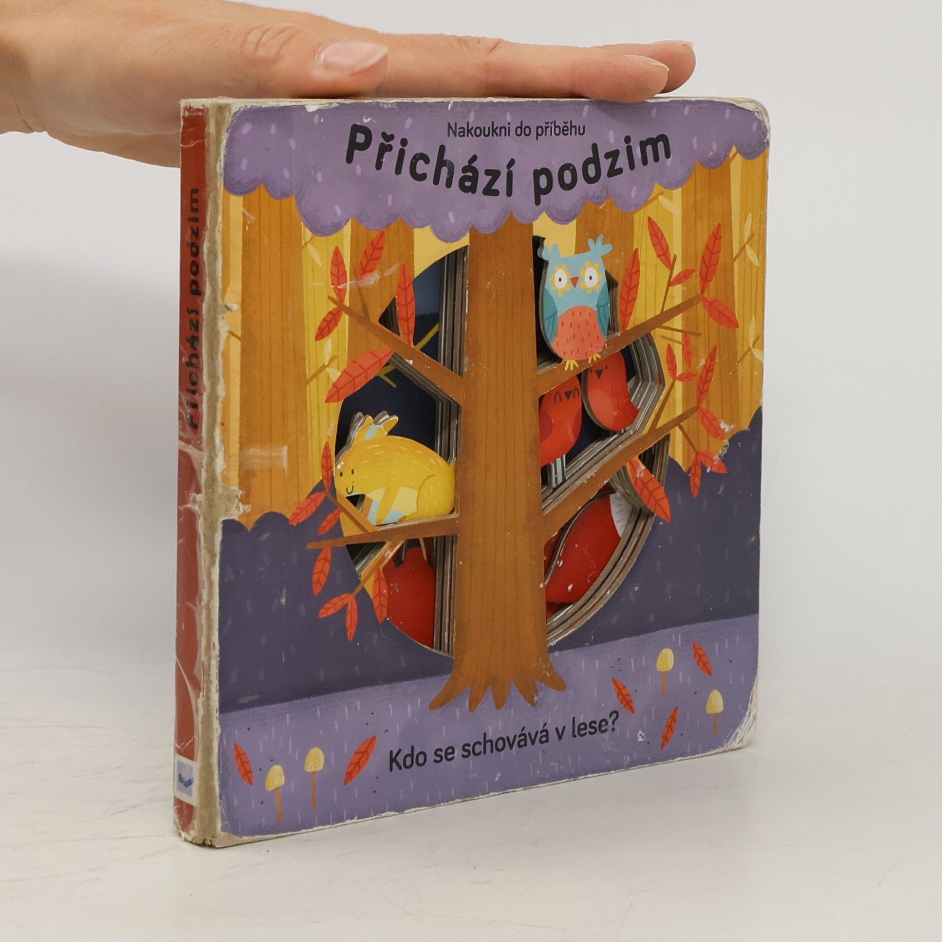 Anne Passchier Přichází podzim : kdo se schovává v lese?