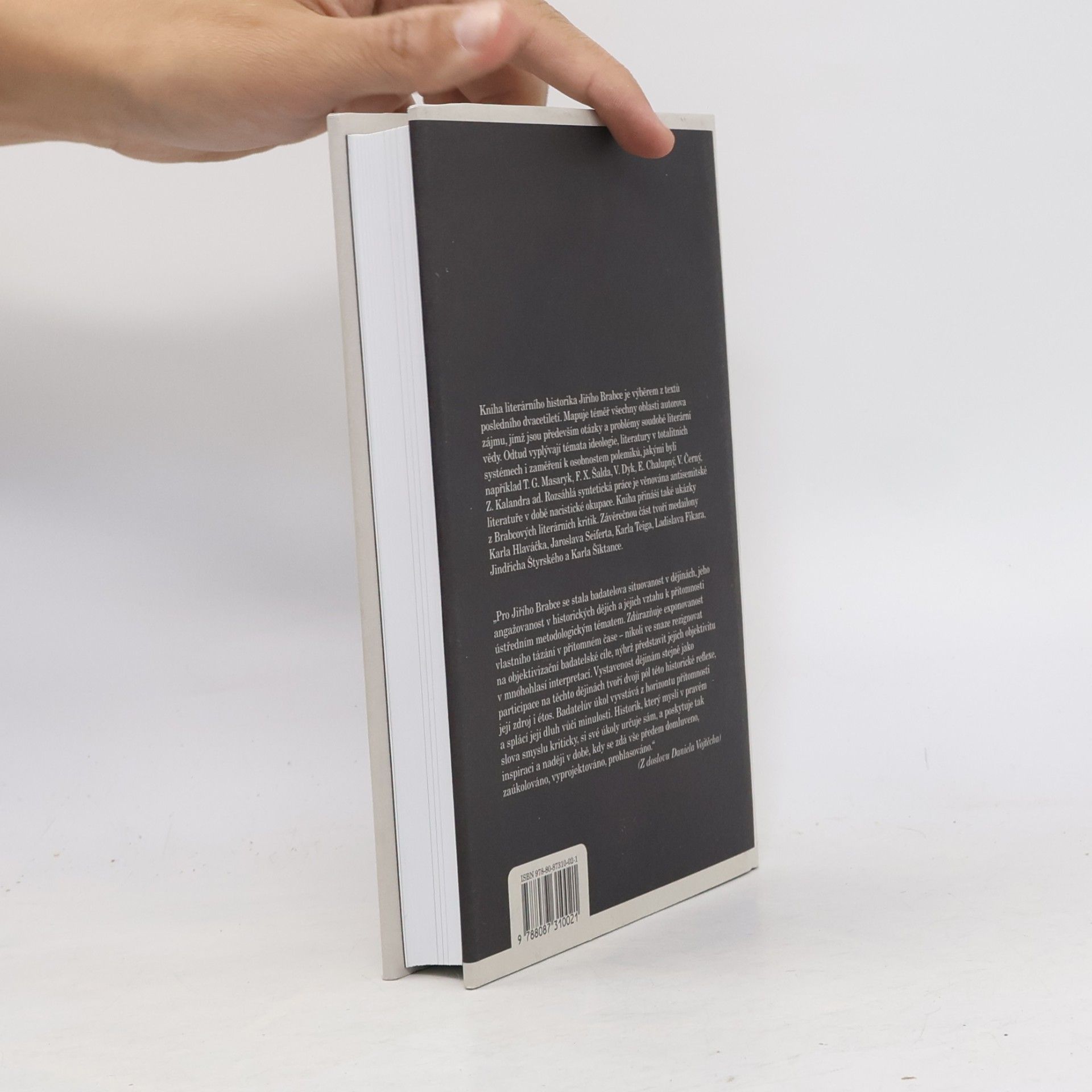 Jiří Brabec Panství ideologie a moc literatury - Studie, kritiky, portréty (1991–2008)