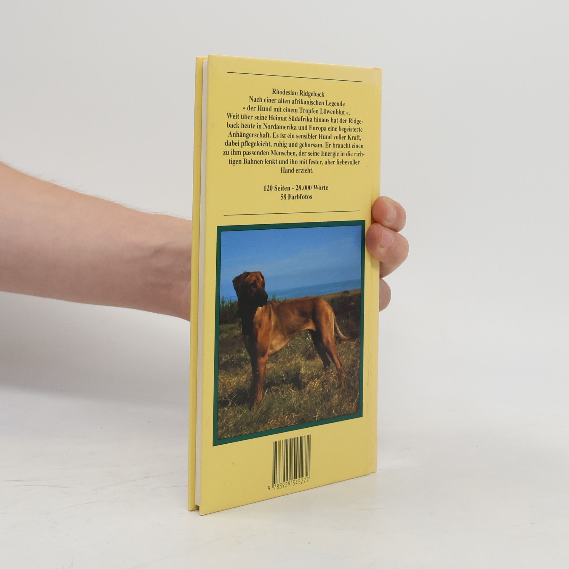 Stig G. Carlson Kynos Kleine Hundebibliothek: Rhodesian Ridgeback