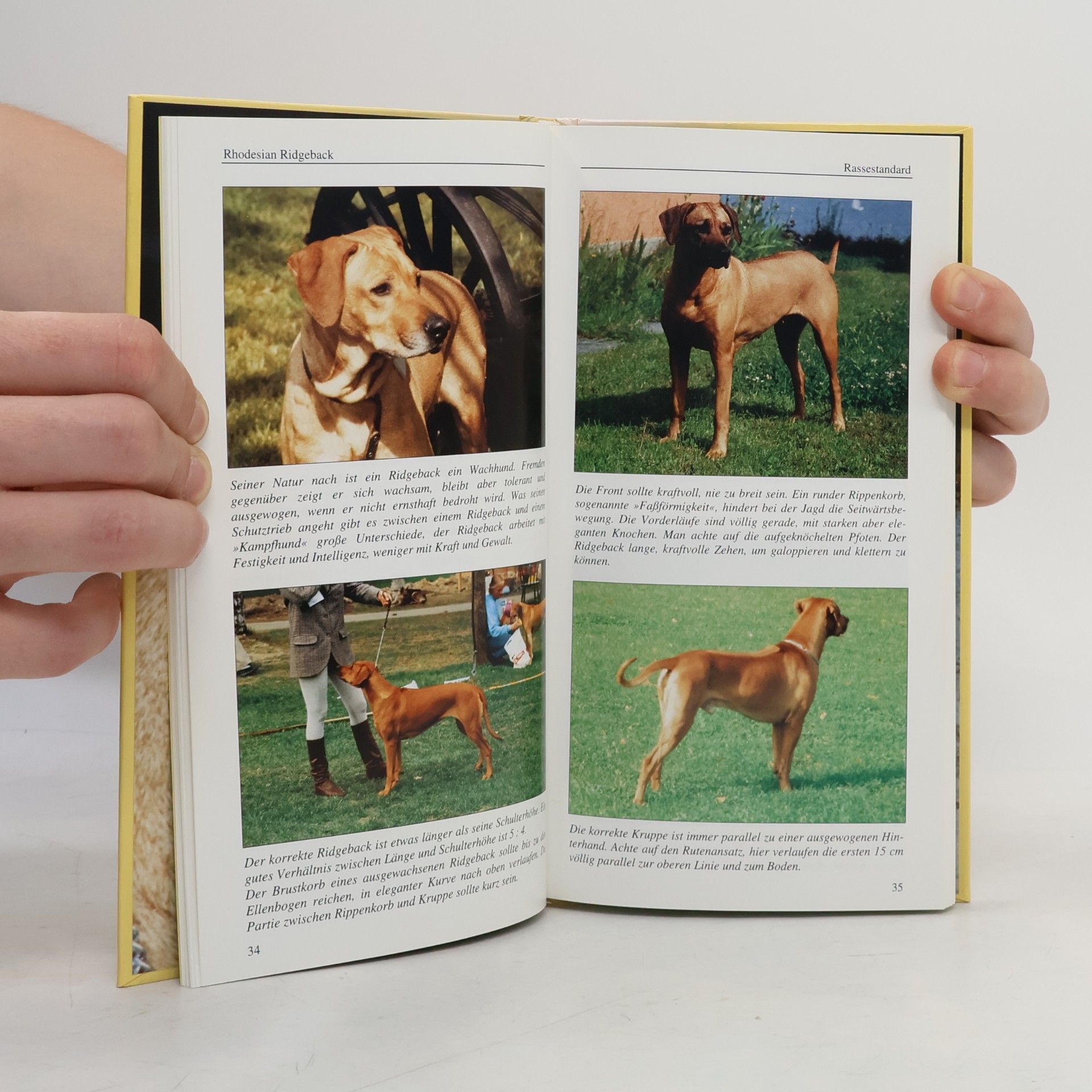 Stig G. Carlson Kynos Kleine Hundebibliothek: Rhodesian Ridgeback