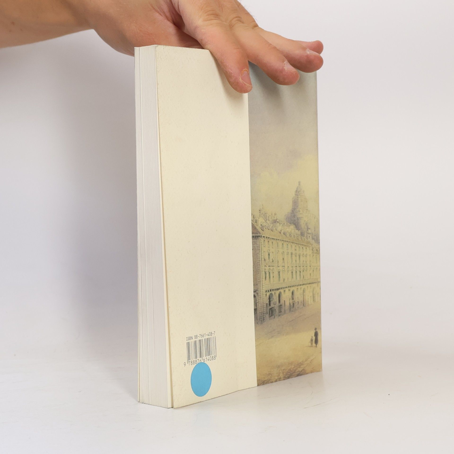 Italy. Soprintendenza per i beni ambientali e architettonici del Piemonte Palazzo Reale di Torino nelle guide della città