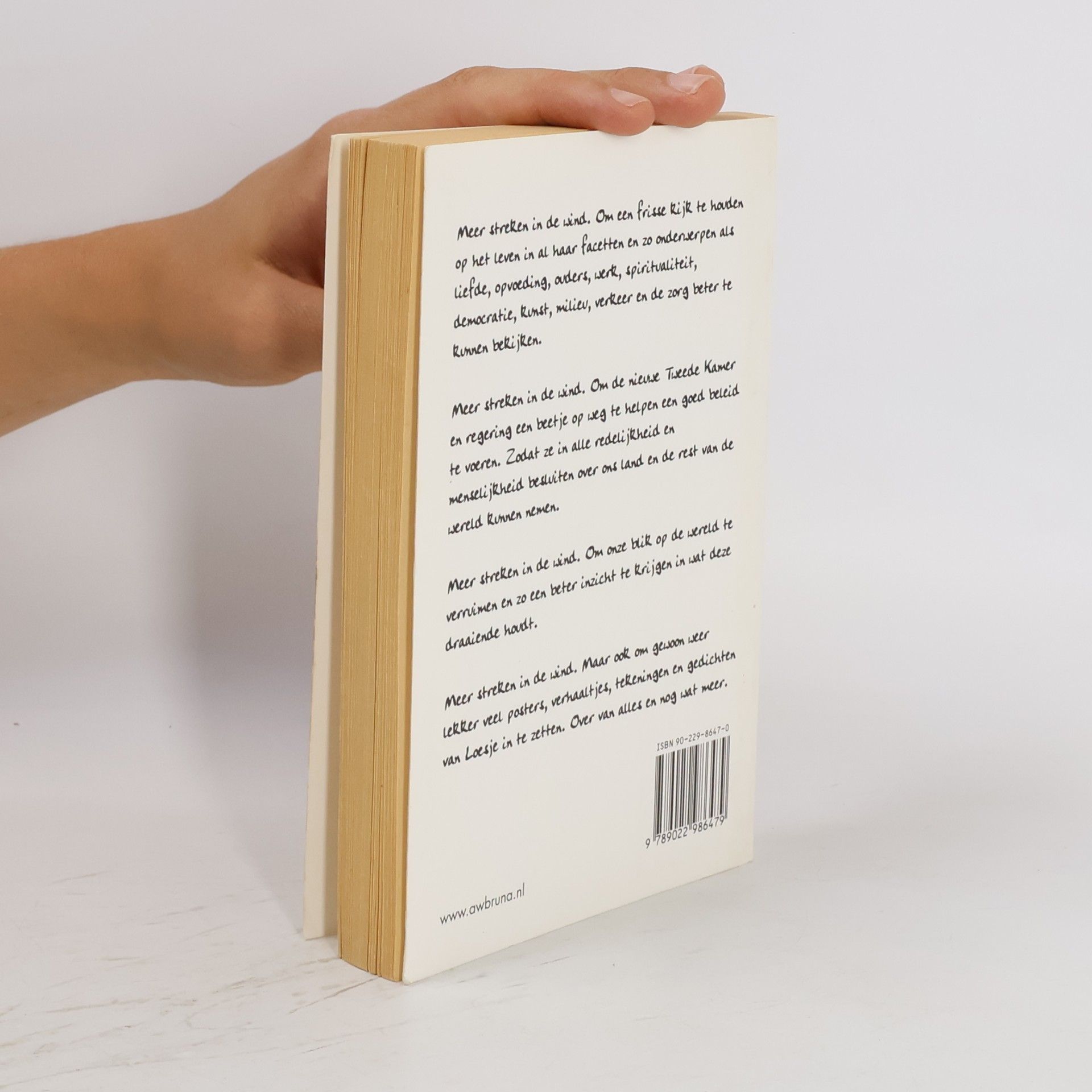 Loesje Meer streken in de wind