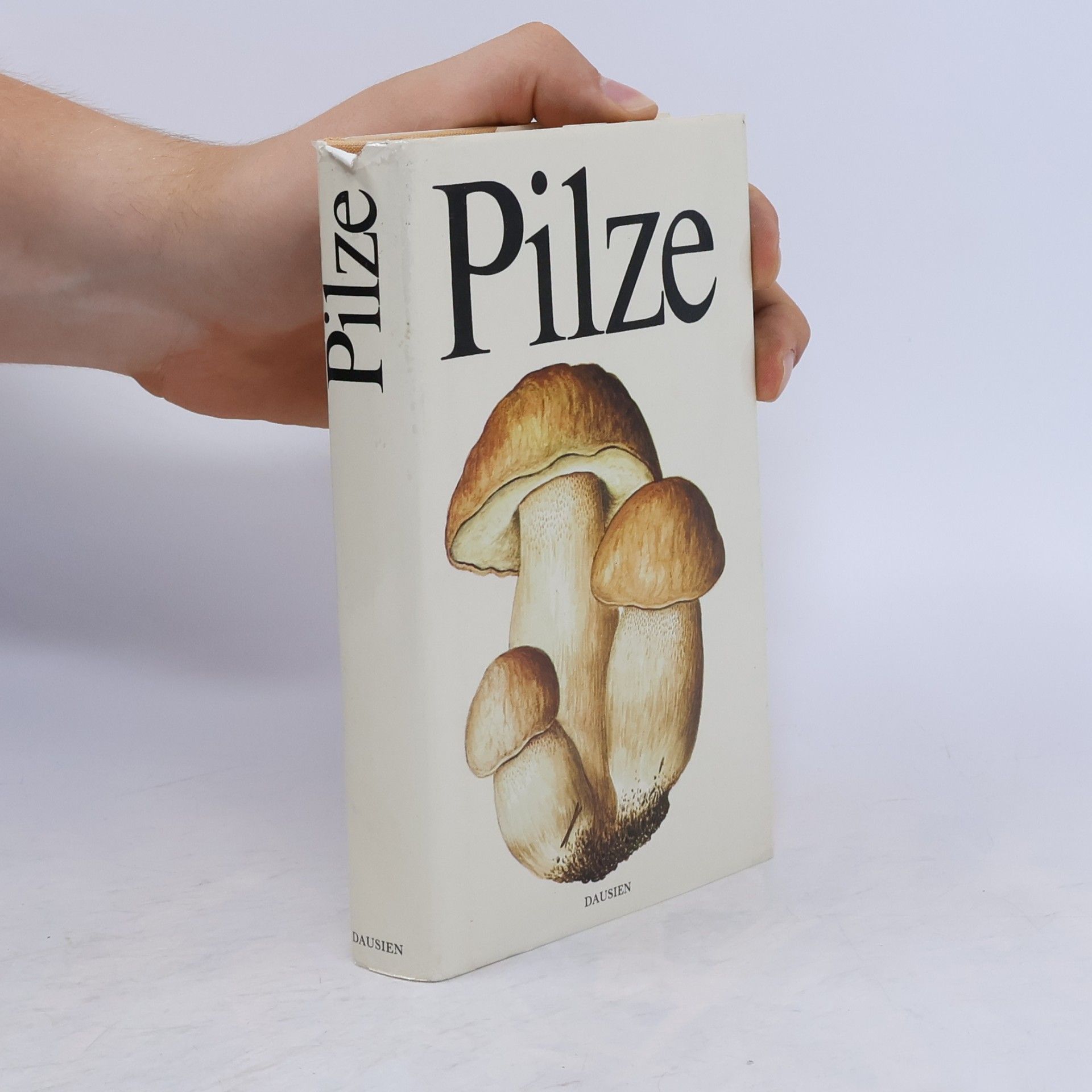 Aurel Dermek Pilze