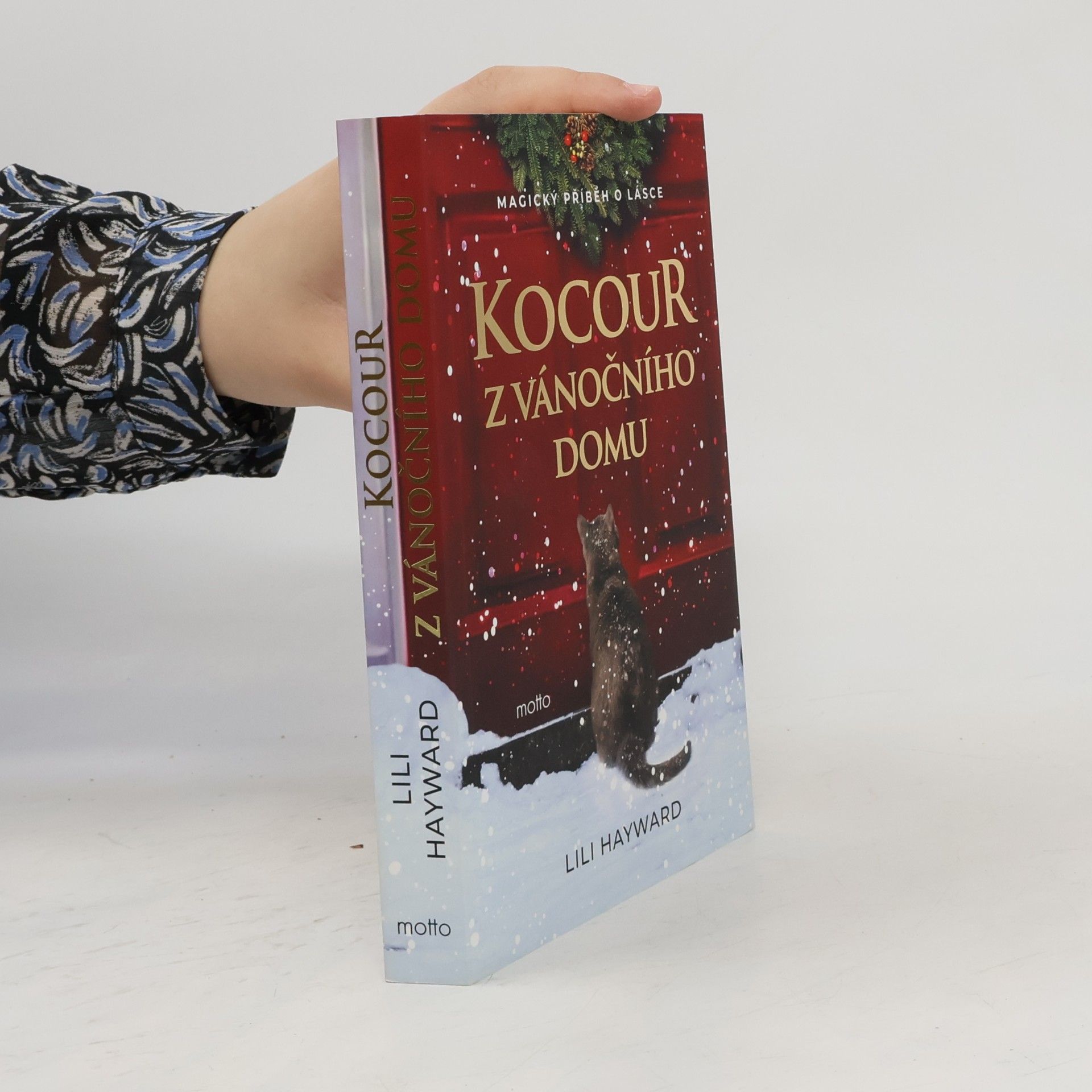 Lili Hayward Kocour z vánočního domu