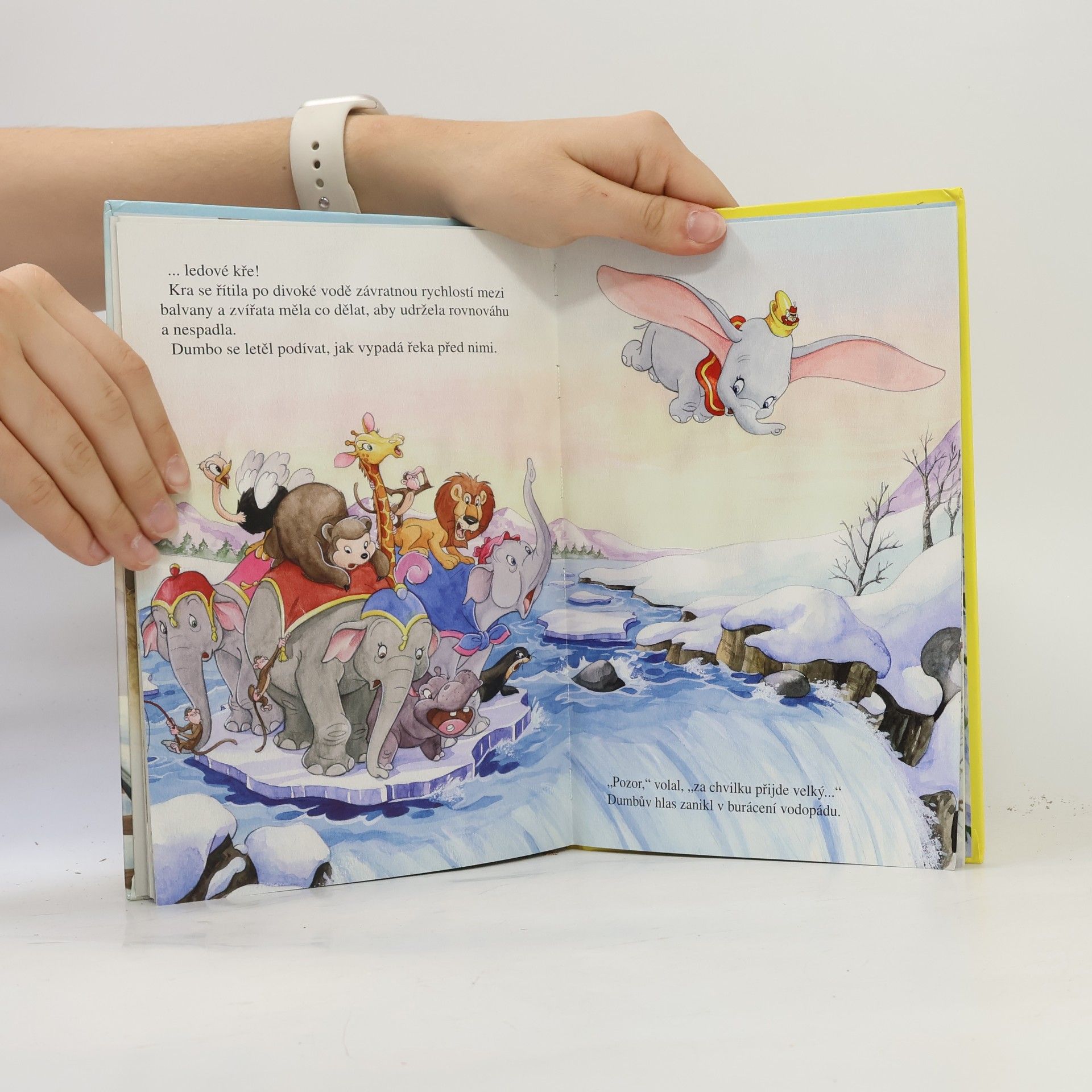 Various authors Dumbo a cirkus na sněhu