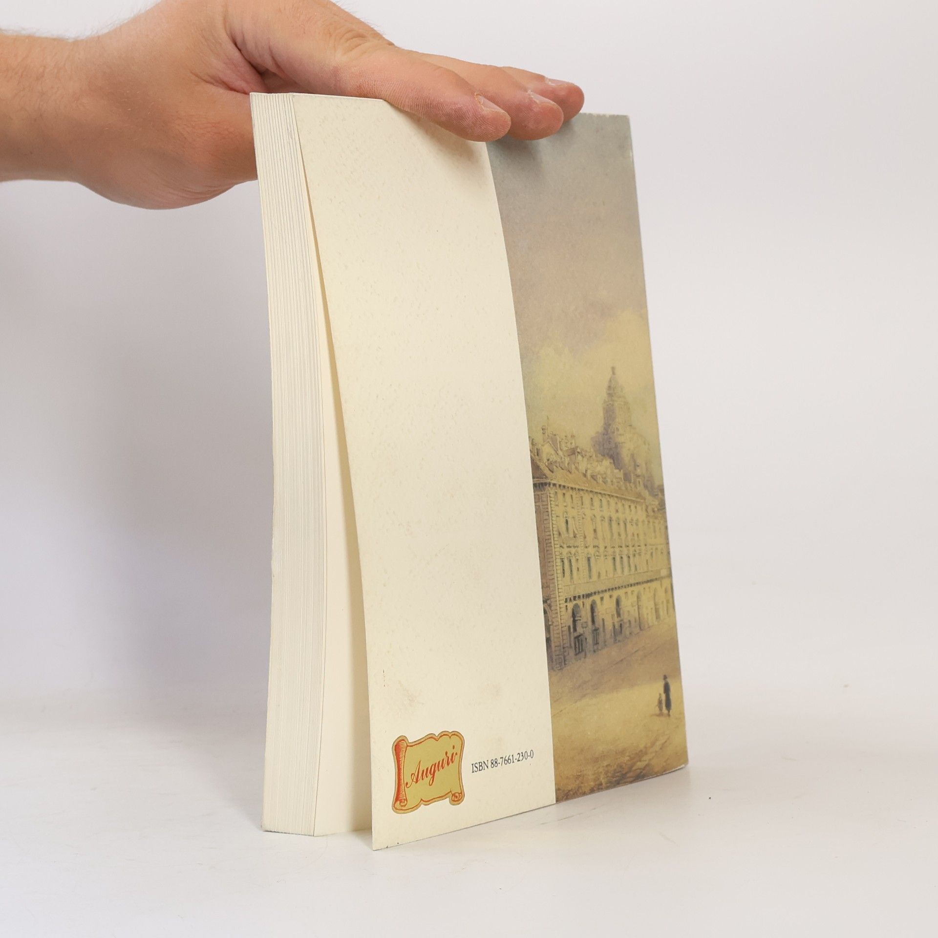 Collectif d'auteurs Il Palazzo Reale di Torino nelle Guide della Città