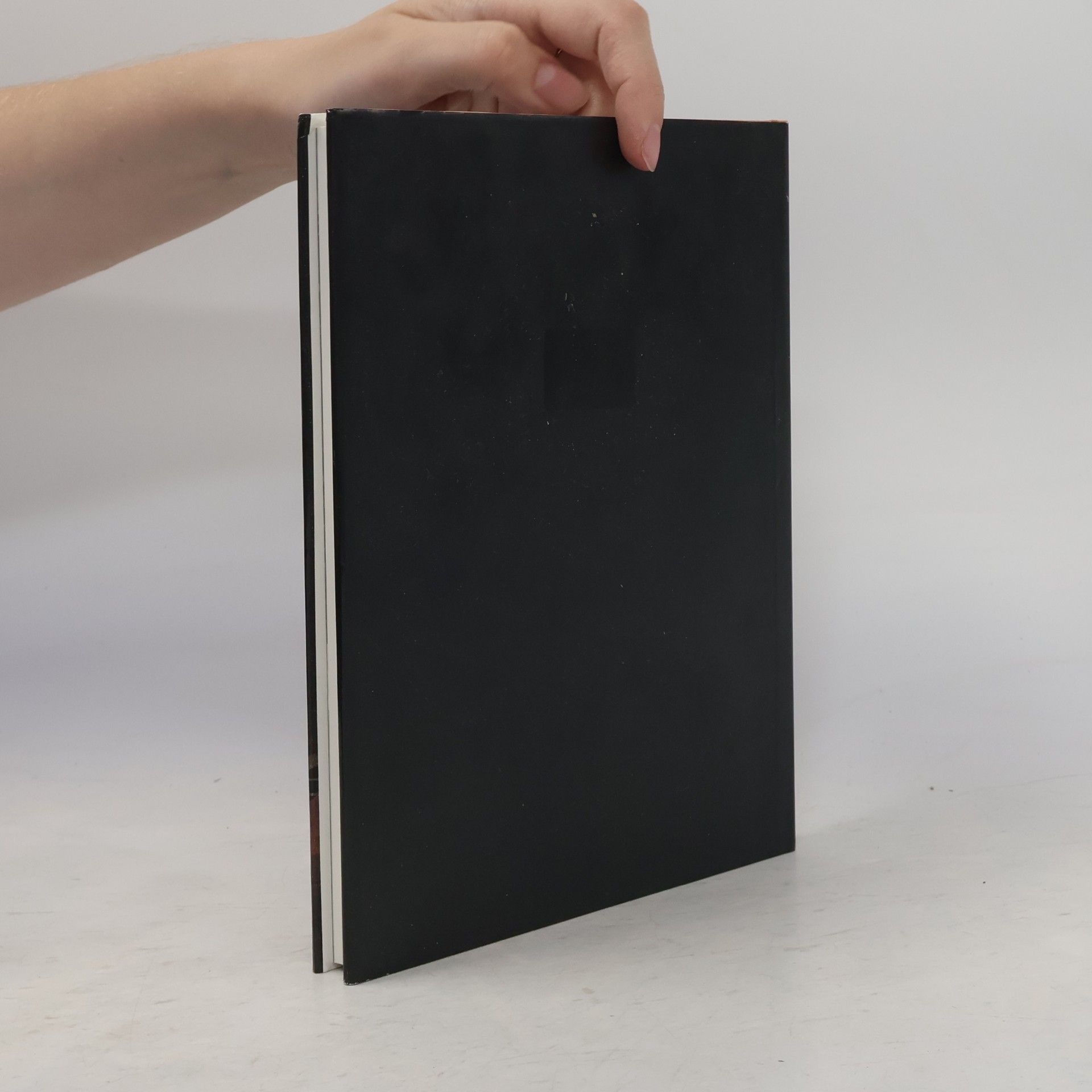 Géza Rech Das Salzburger Mozartbuch