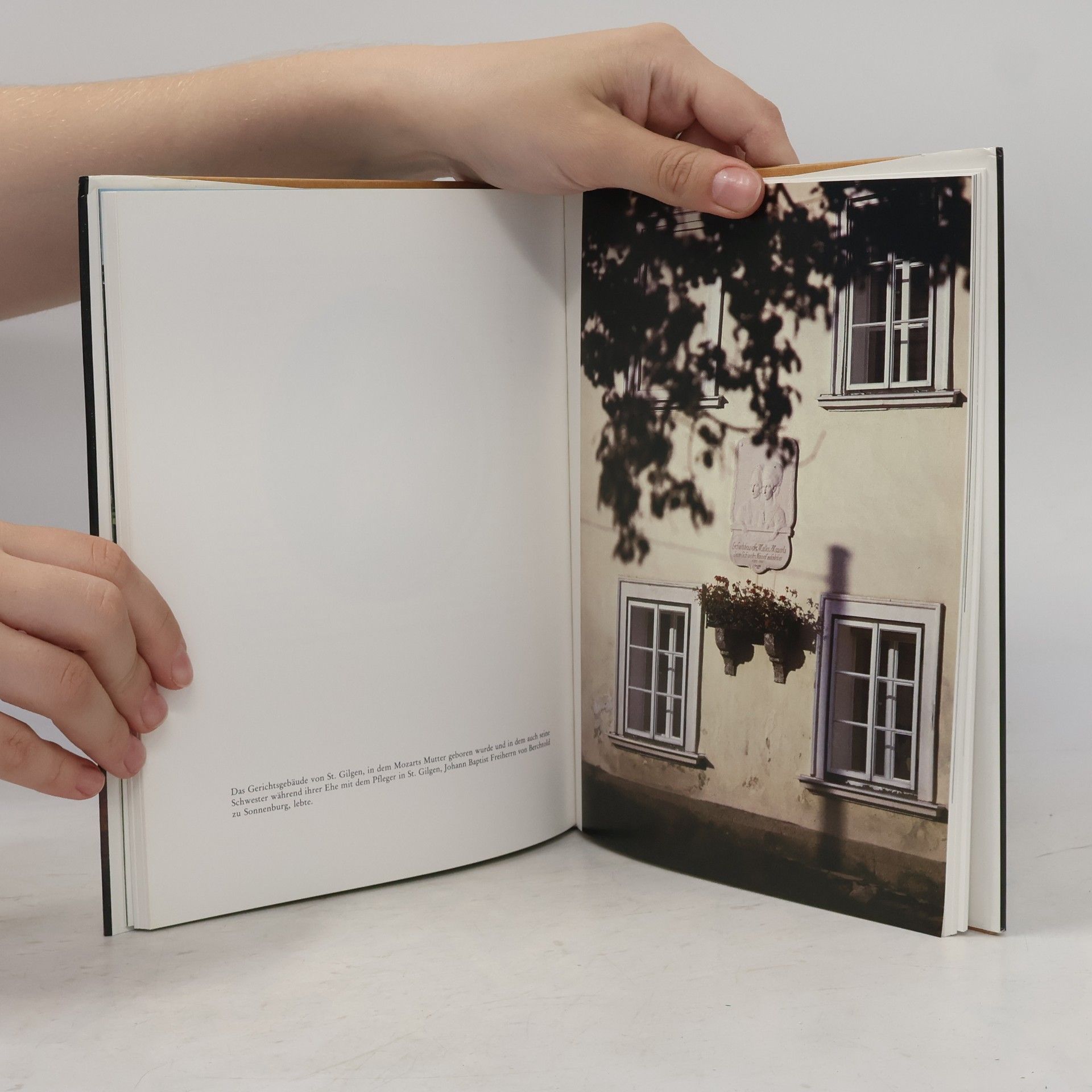 Géza Rech Das Salzburger Mozartbuch
