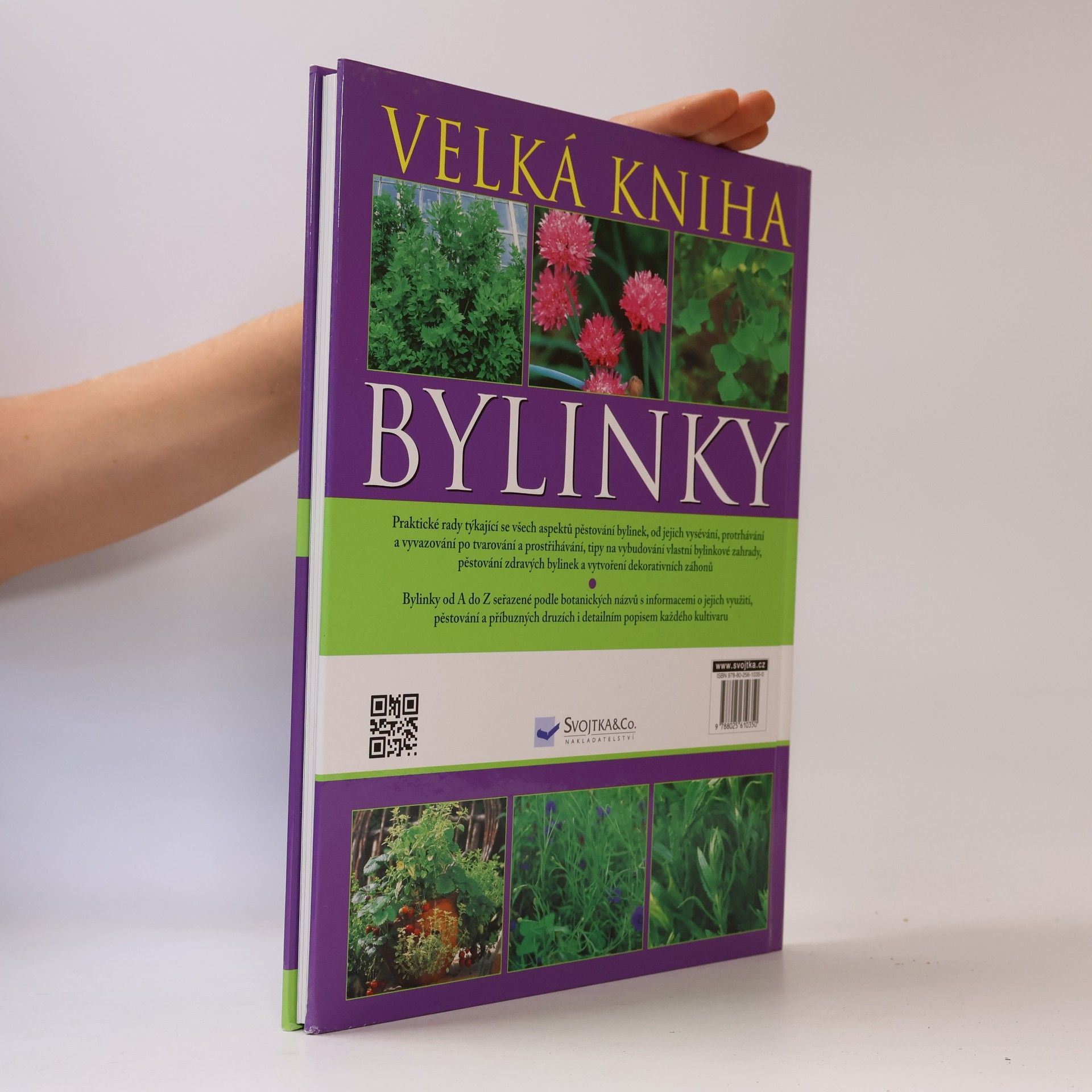 A. M. Clevely Bylinky. Velká kniha