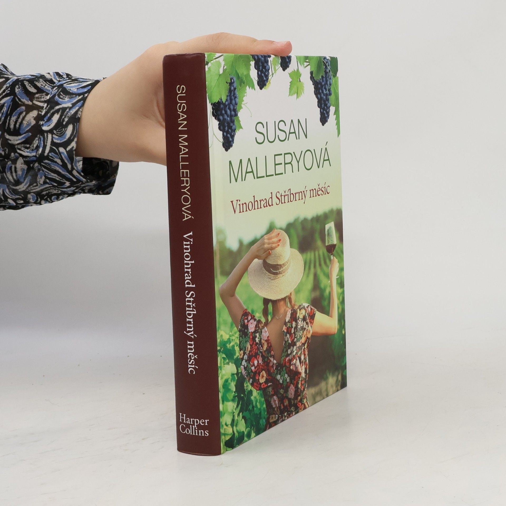 Susan Mallery Vinohrad Stříbrný měsíc