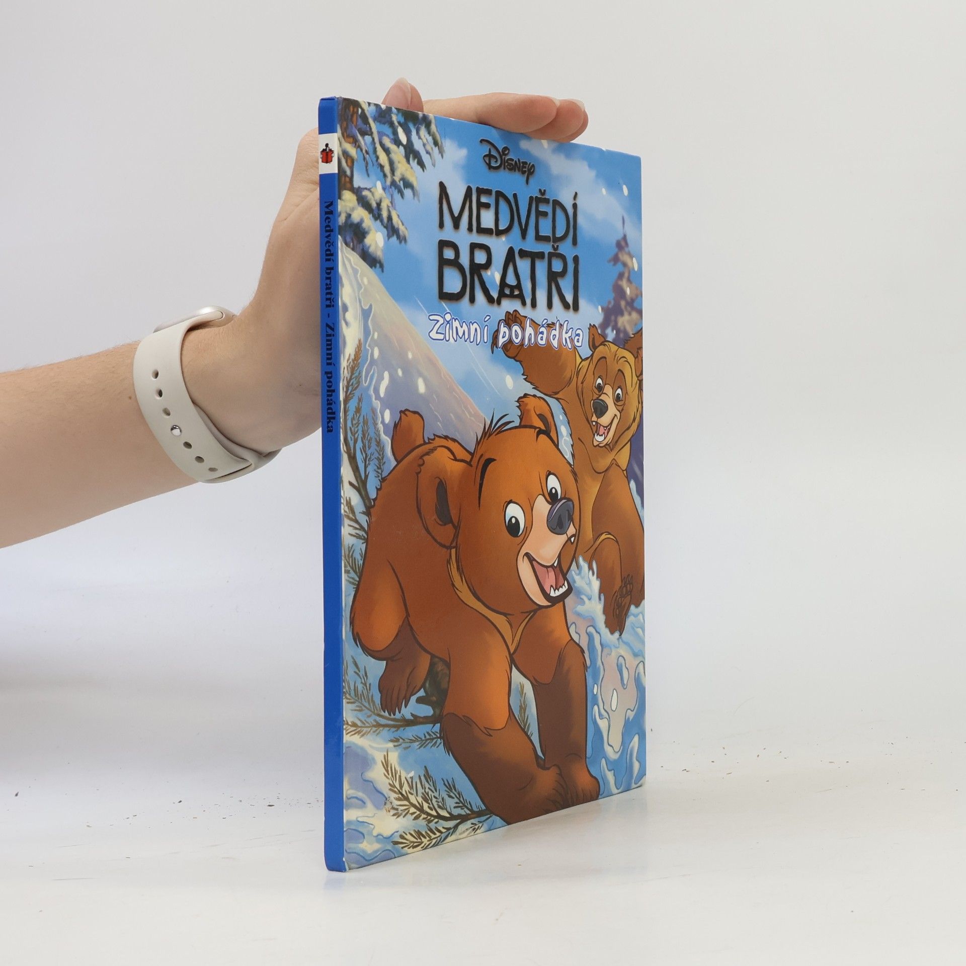 Walt Disney Medvědí bratři. Zimní pohádka
