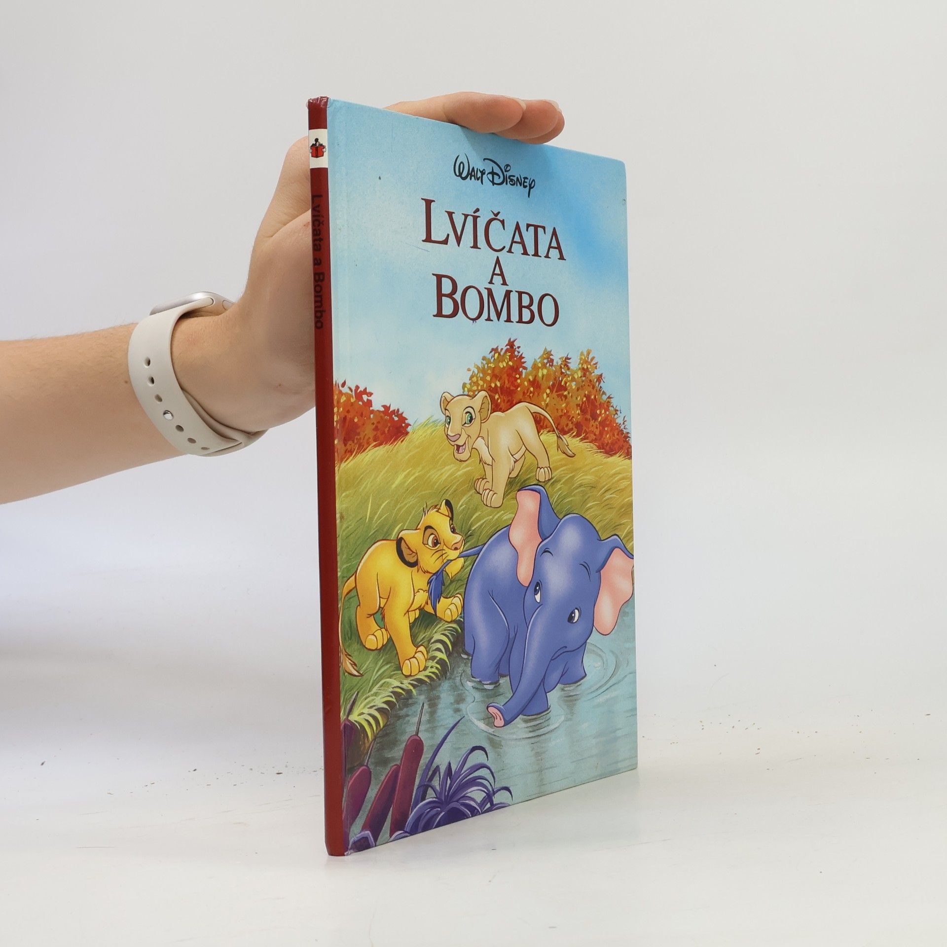 Markéta Černá Lvíčata a Bombo