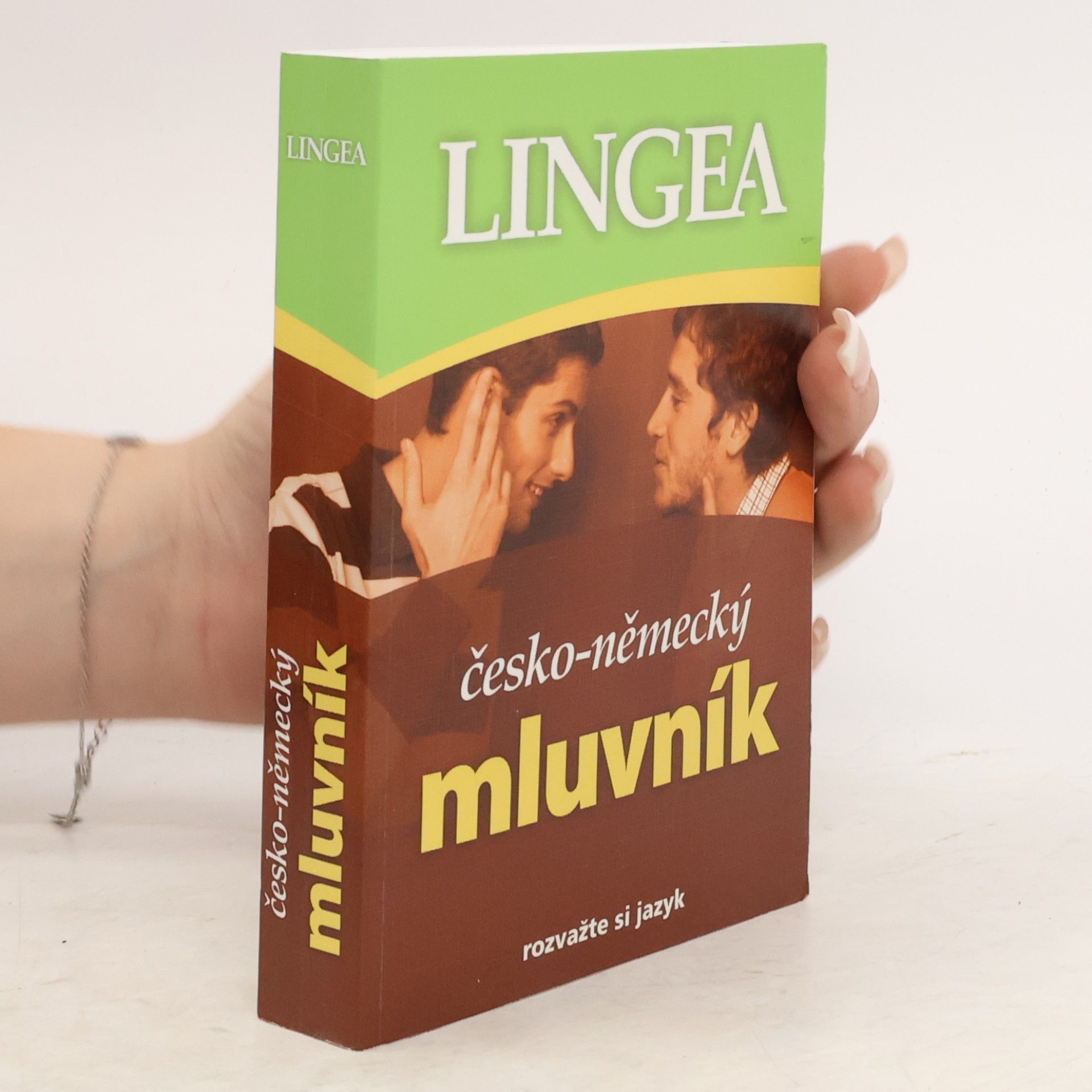 Autorenkollektiv Česko-německý mluvník