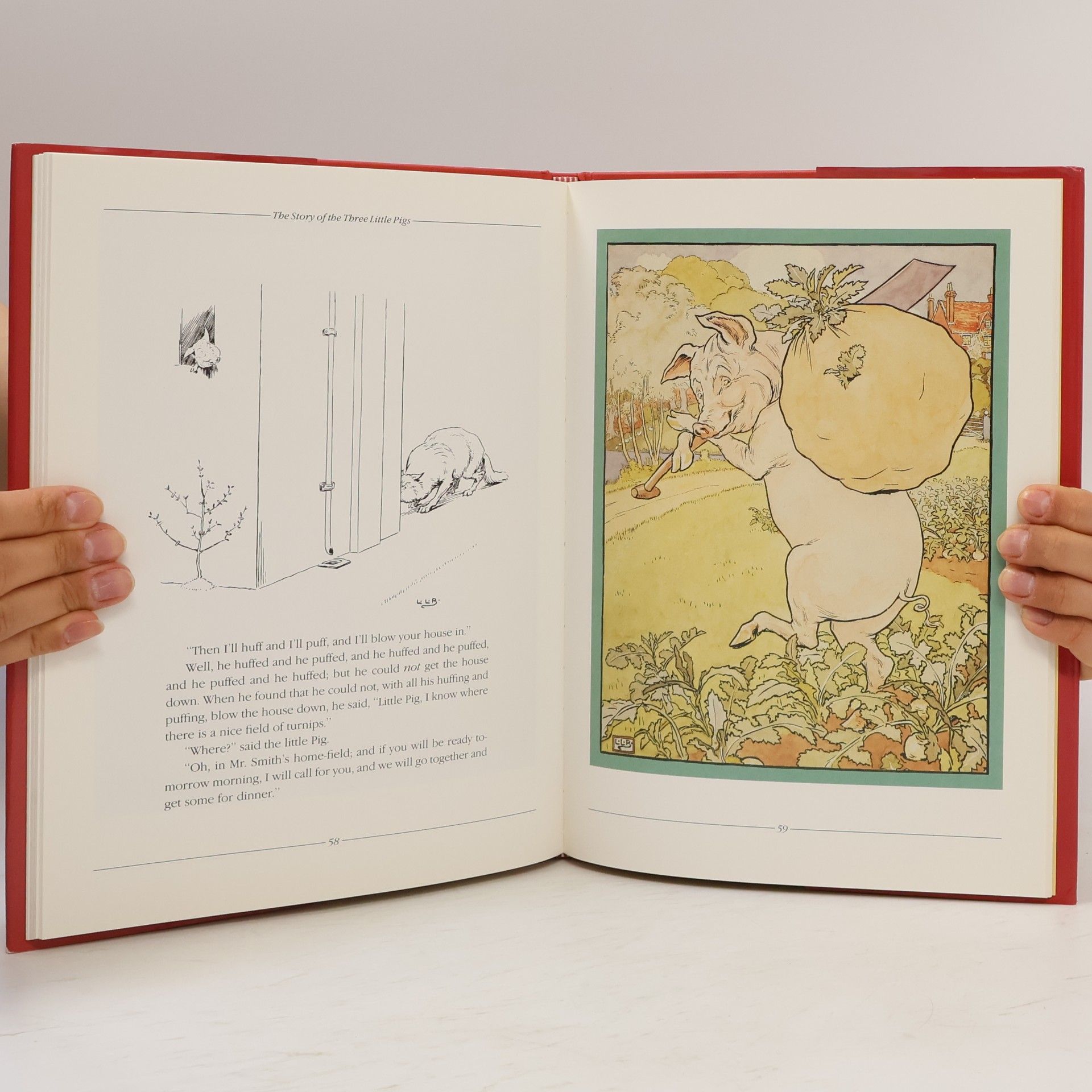 L. Leslie Brooke The Golden Goose Book