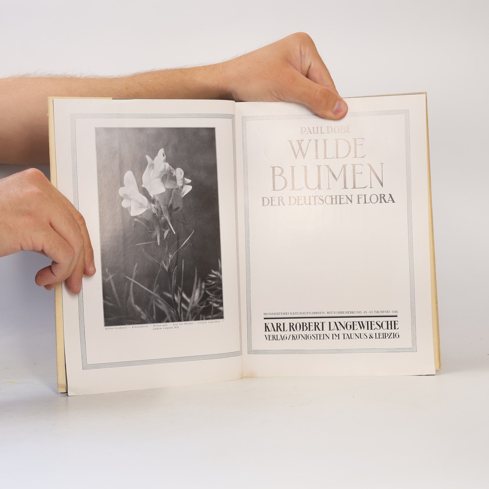 Paul Dobe Wilde Blumen der Deutschen Flora