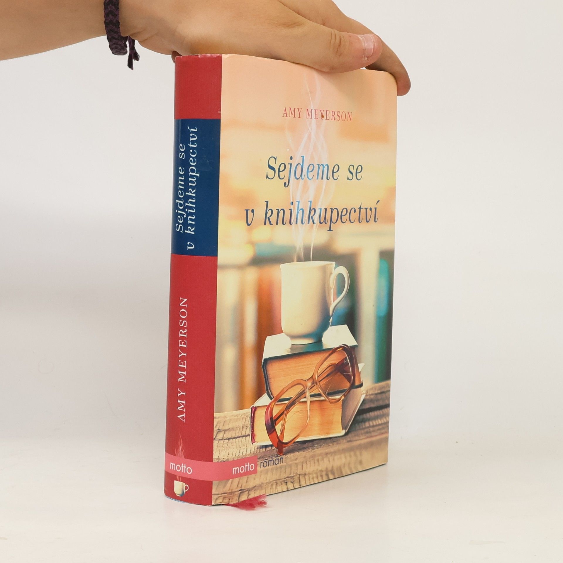 Amy Meyerson Sejdeme se v knihkupectví