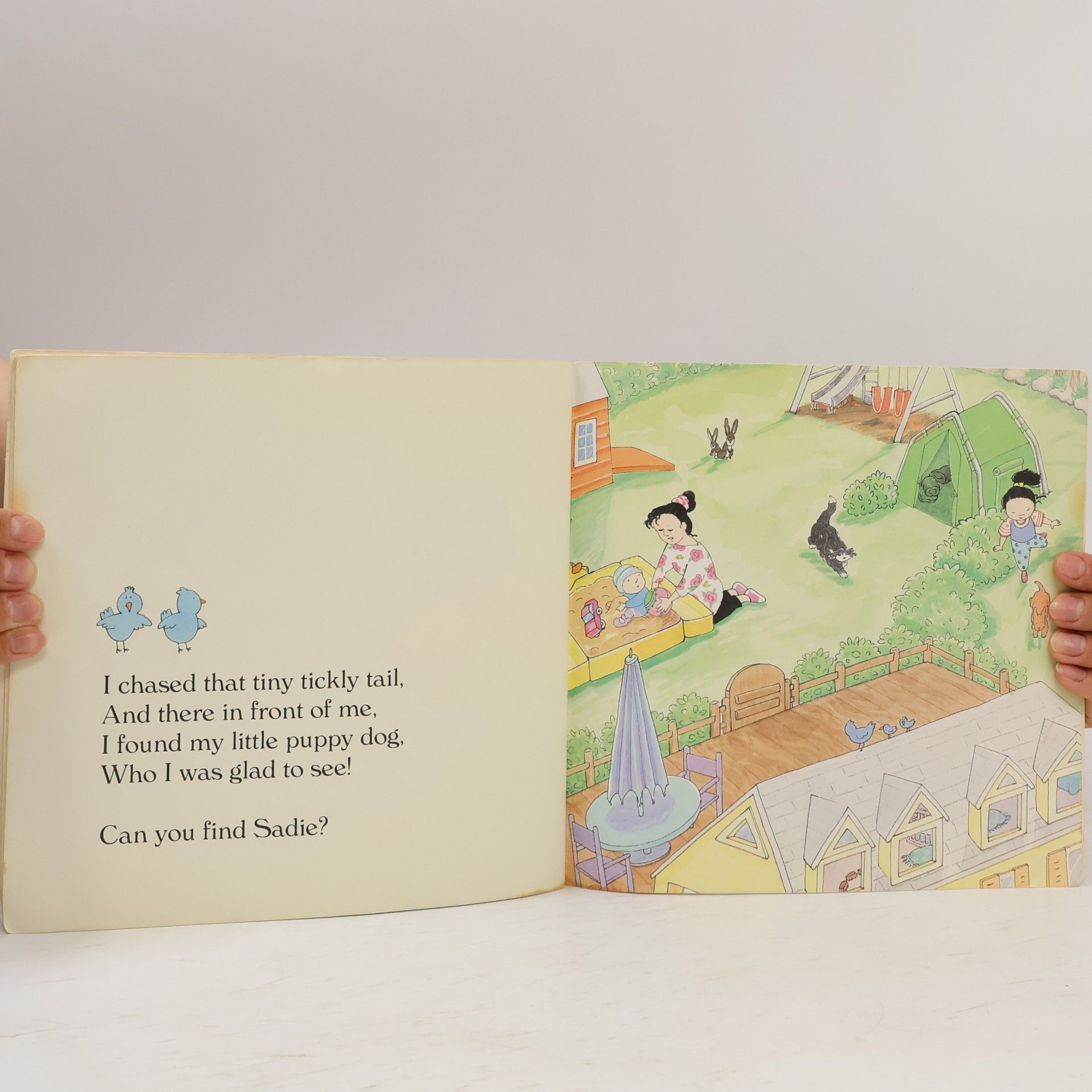 Diane C. Ohanesian Golden Look-Look Book: Can You Find Sadie?