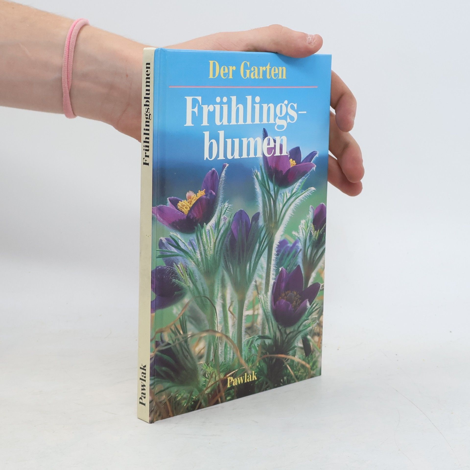 Ute York Frühlingsblumen