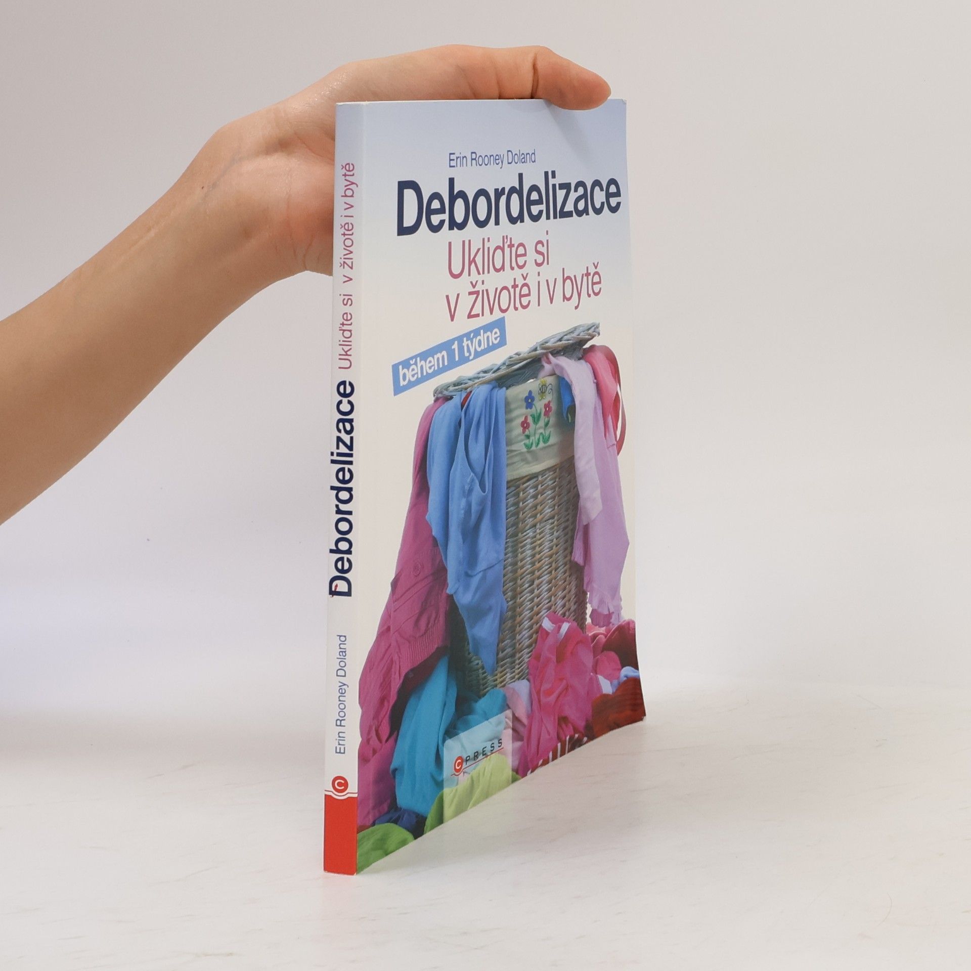 Erin Rooney Doland Debordelizace