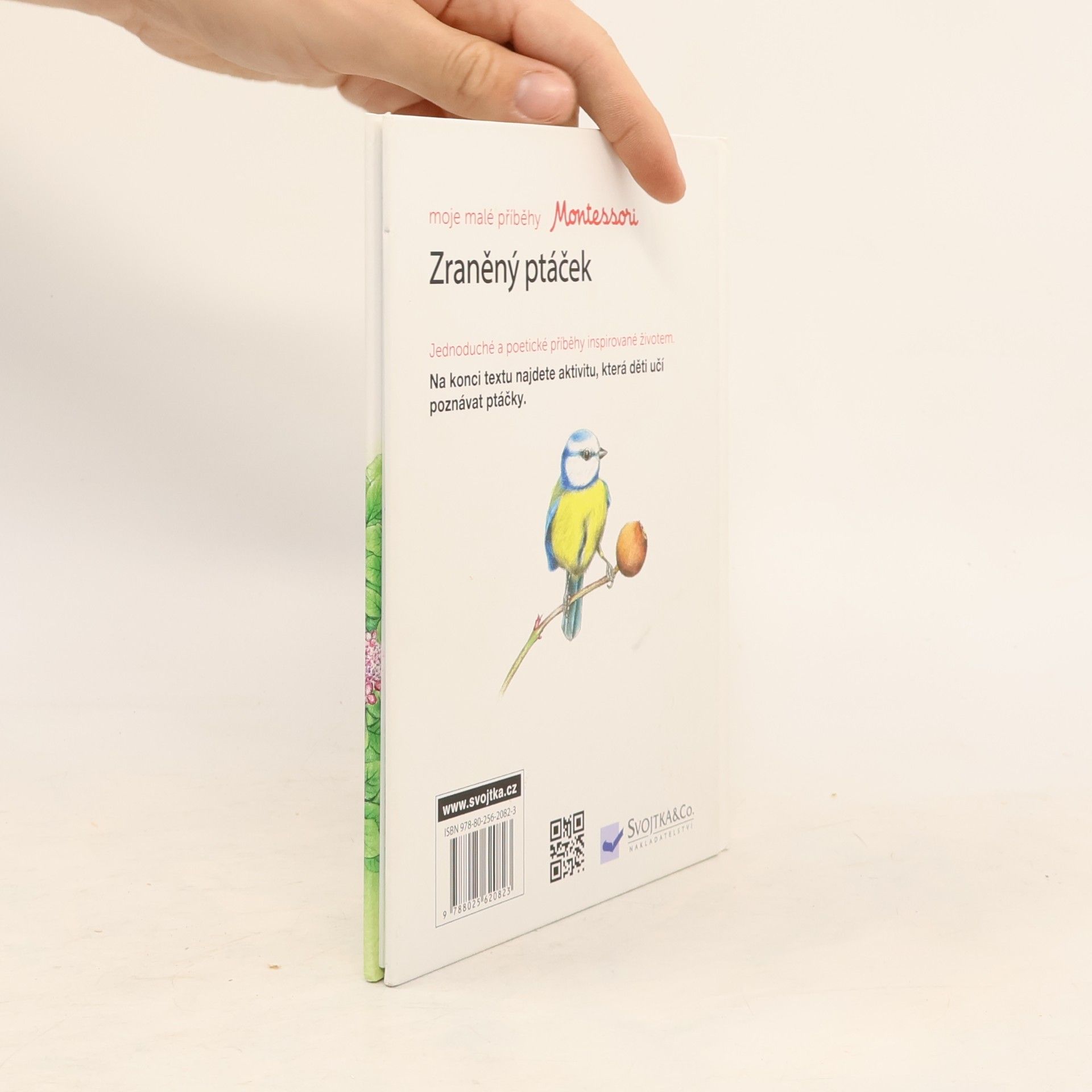 Ève Herrmann Moje malé příběhy Montessori: Zraněný ptáček