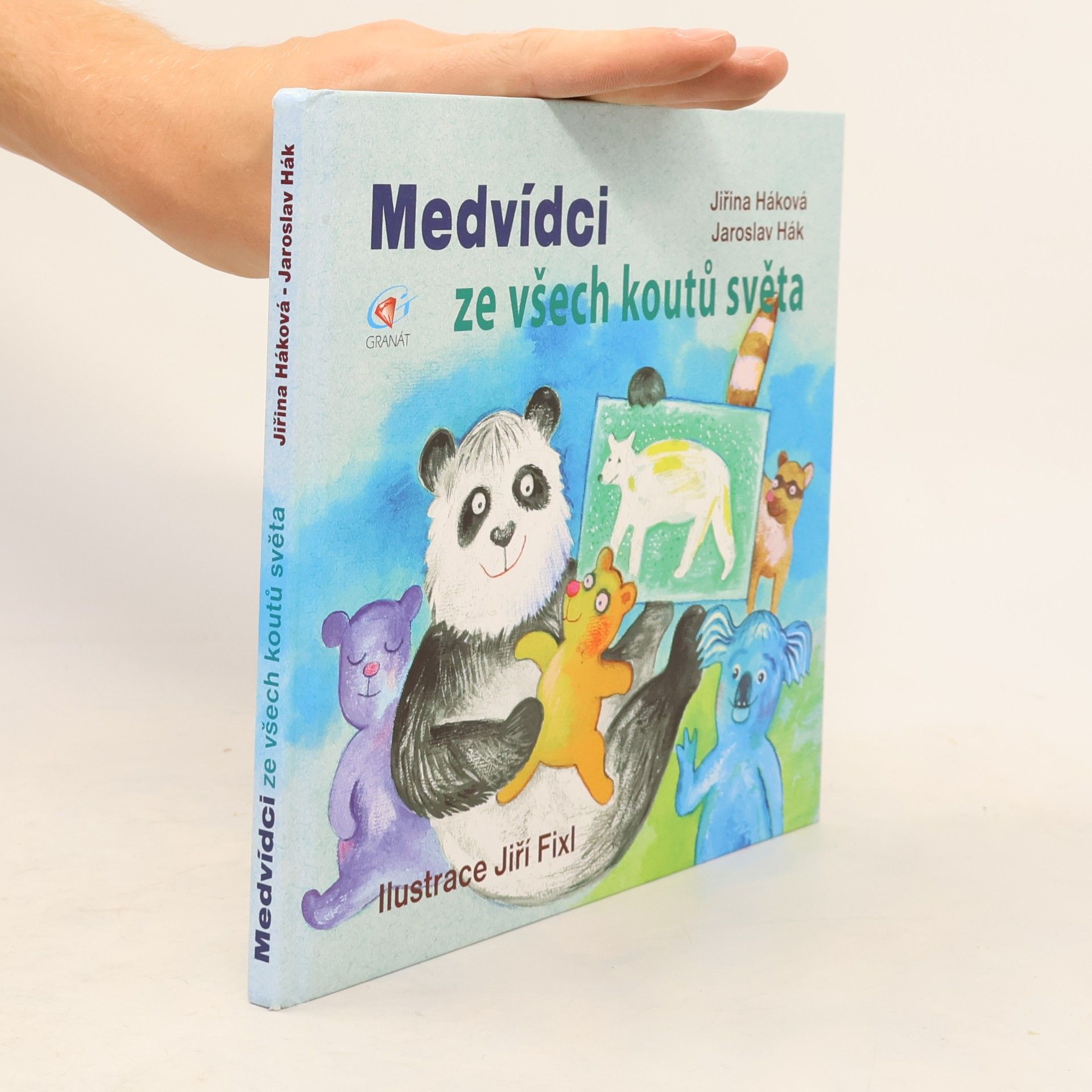 Medvídci ze všech koutů světa