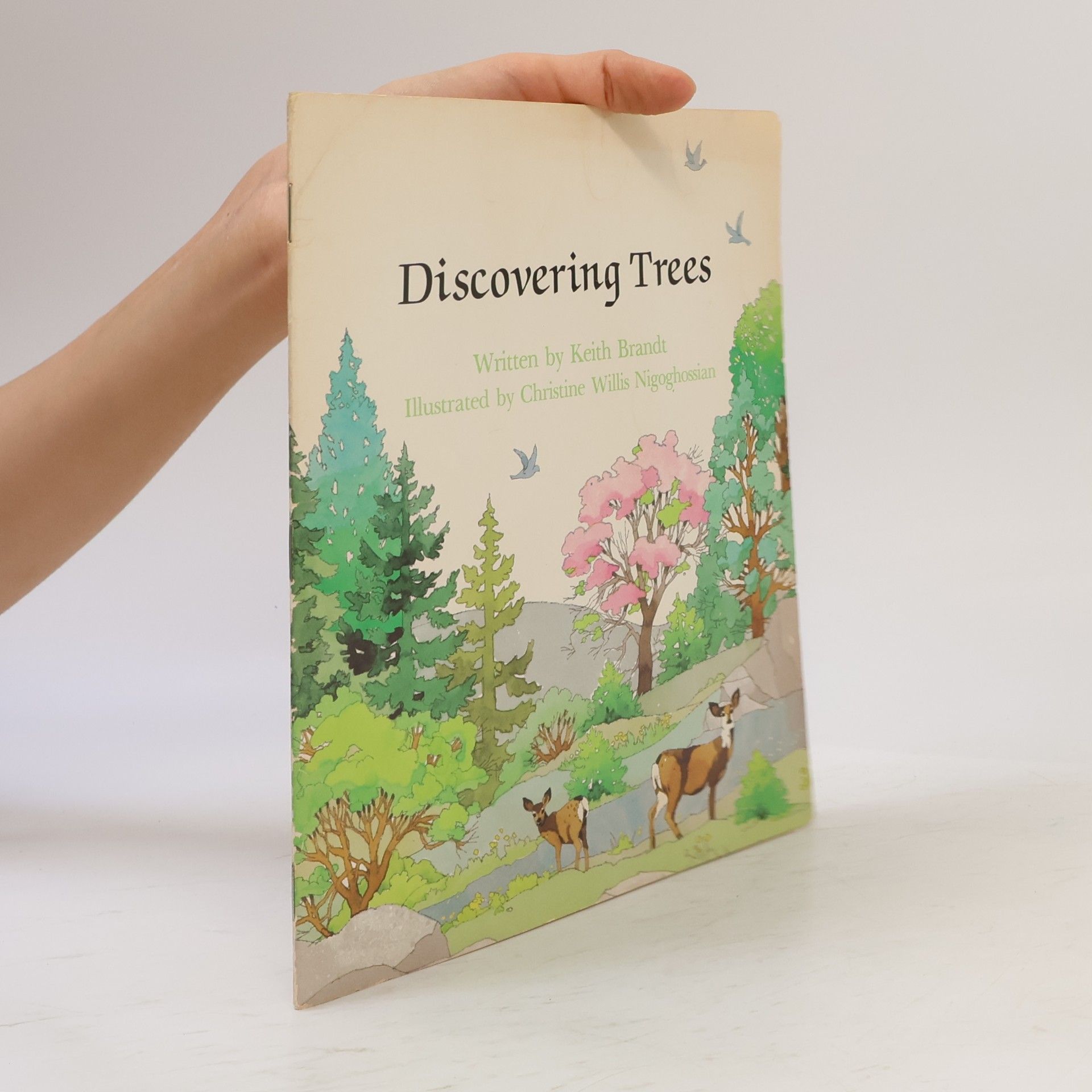 Keith Brandt Discovering Trees