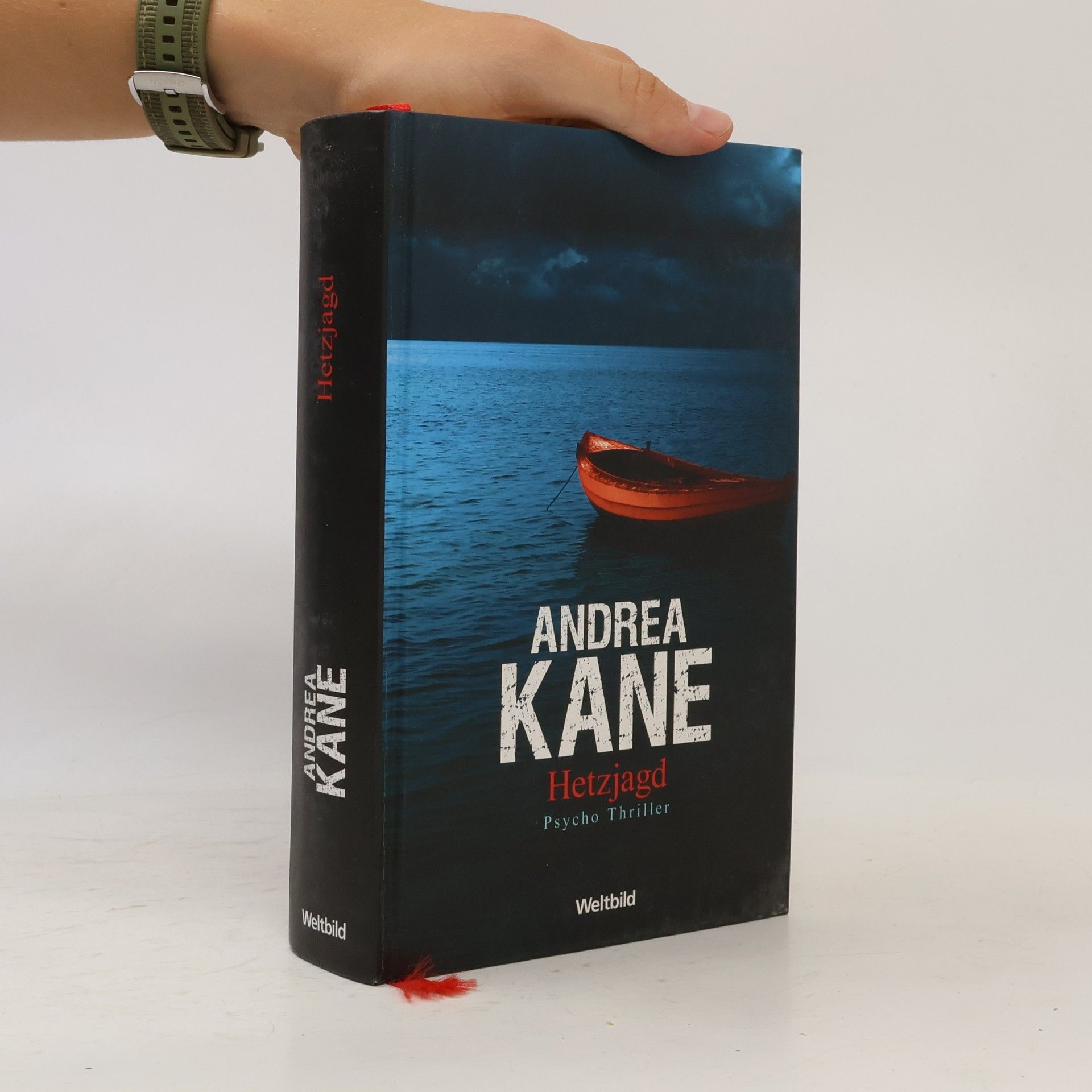 Andrea Kane Hetzjagd