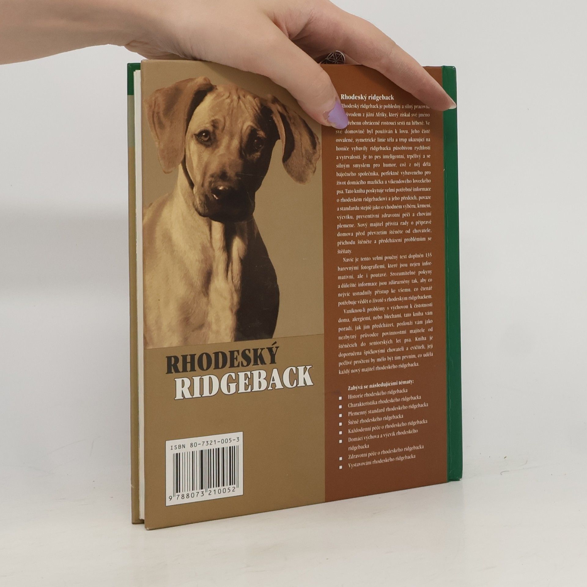 Ann Chamberlain Rhodeský ridgeback