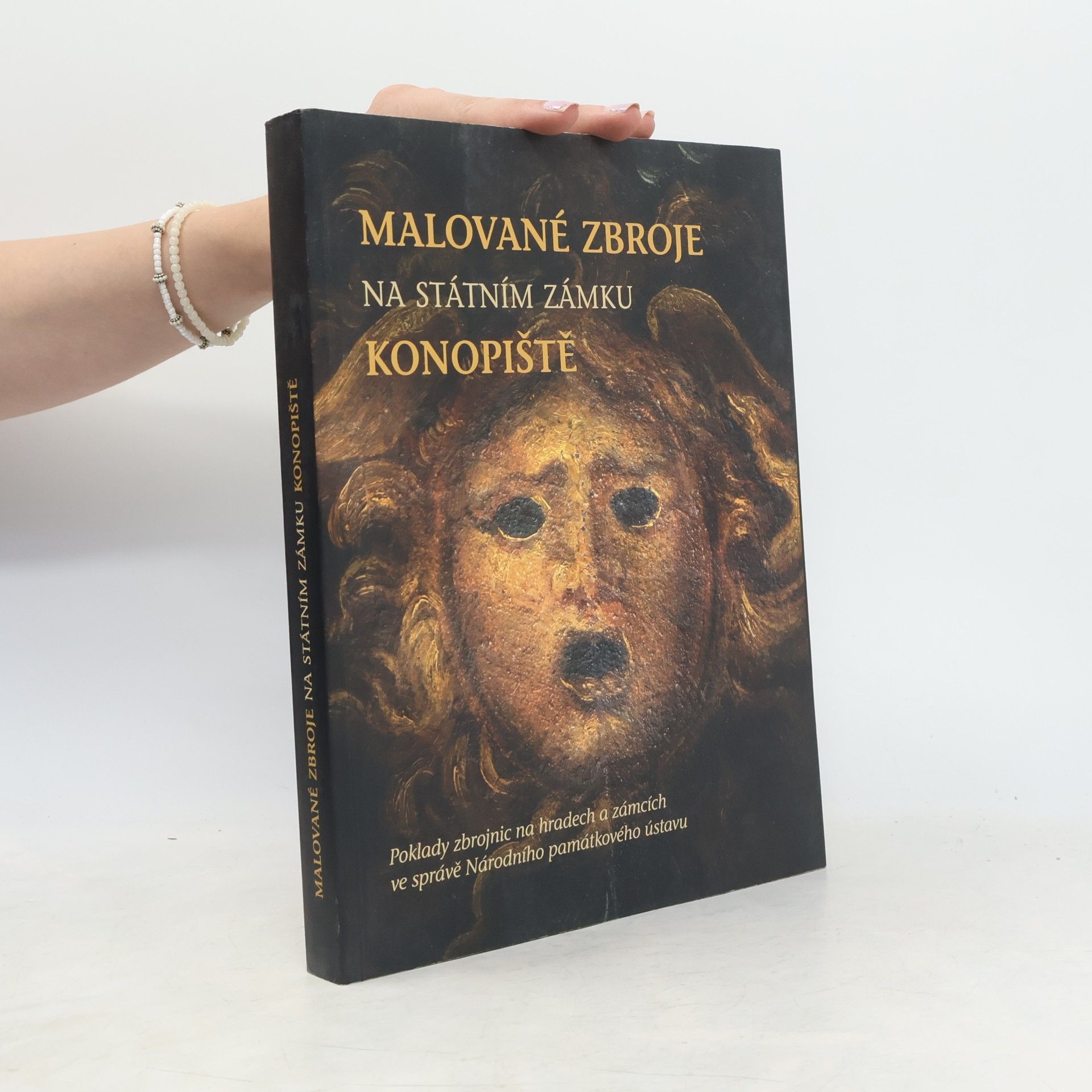 Petr Czajkowski Malované zbroje na státním zámku Konopiště
