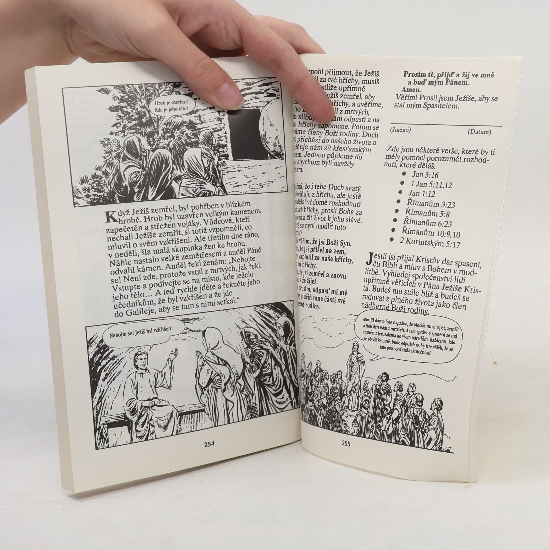 Kolektiv autorů Nový zákon: Obrázková bible