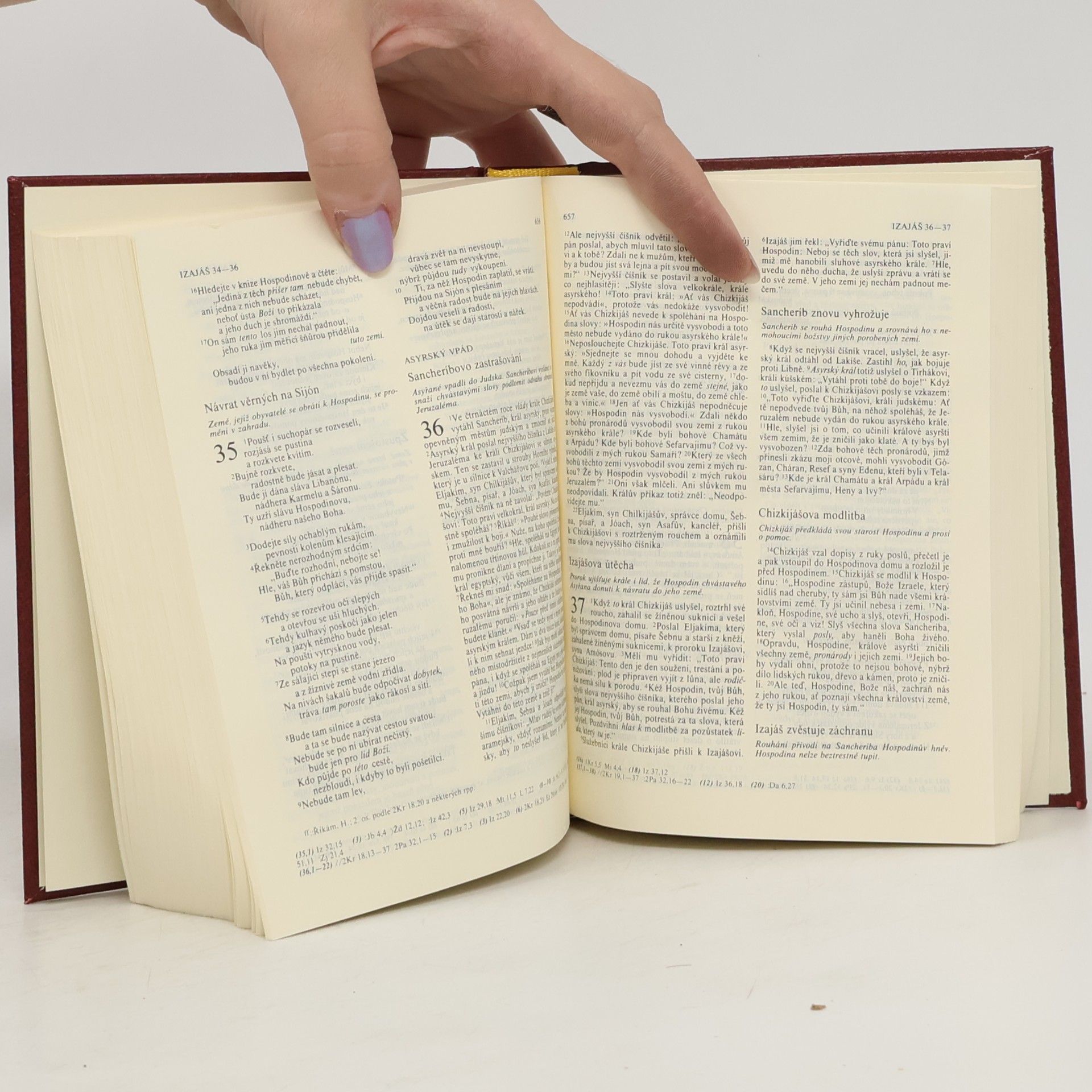 Kolektiv autorů Bible. Písmo svaté Starého a Nového zákona