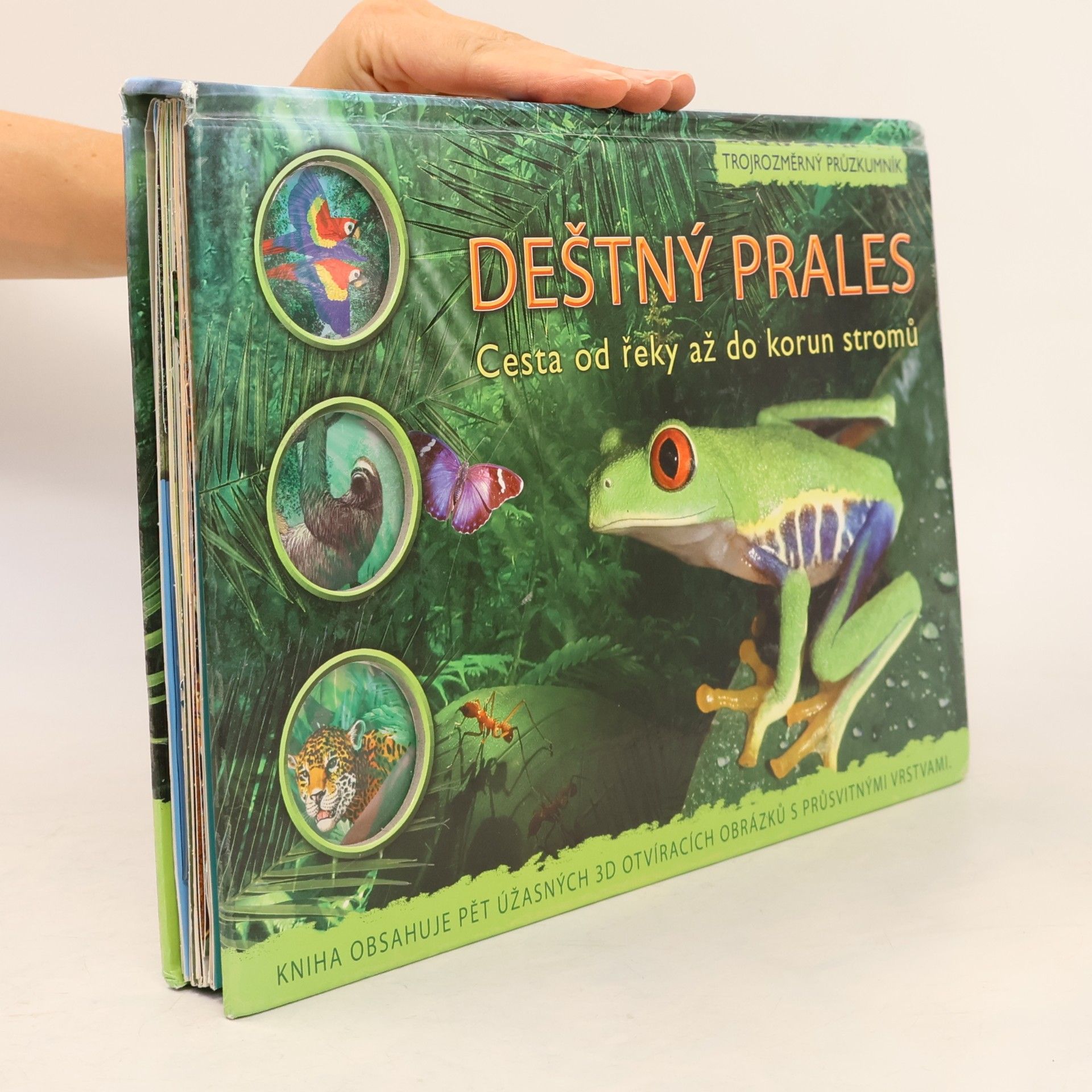 Autores varios Deštný prales. Cesta od řeky až do korun stromů. (pop-up leporelo)