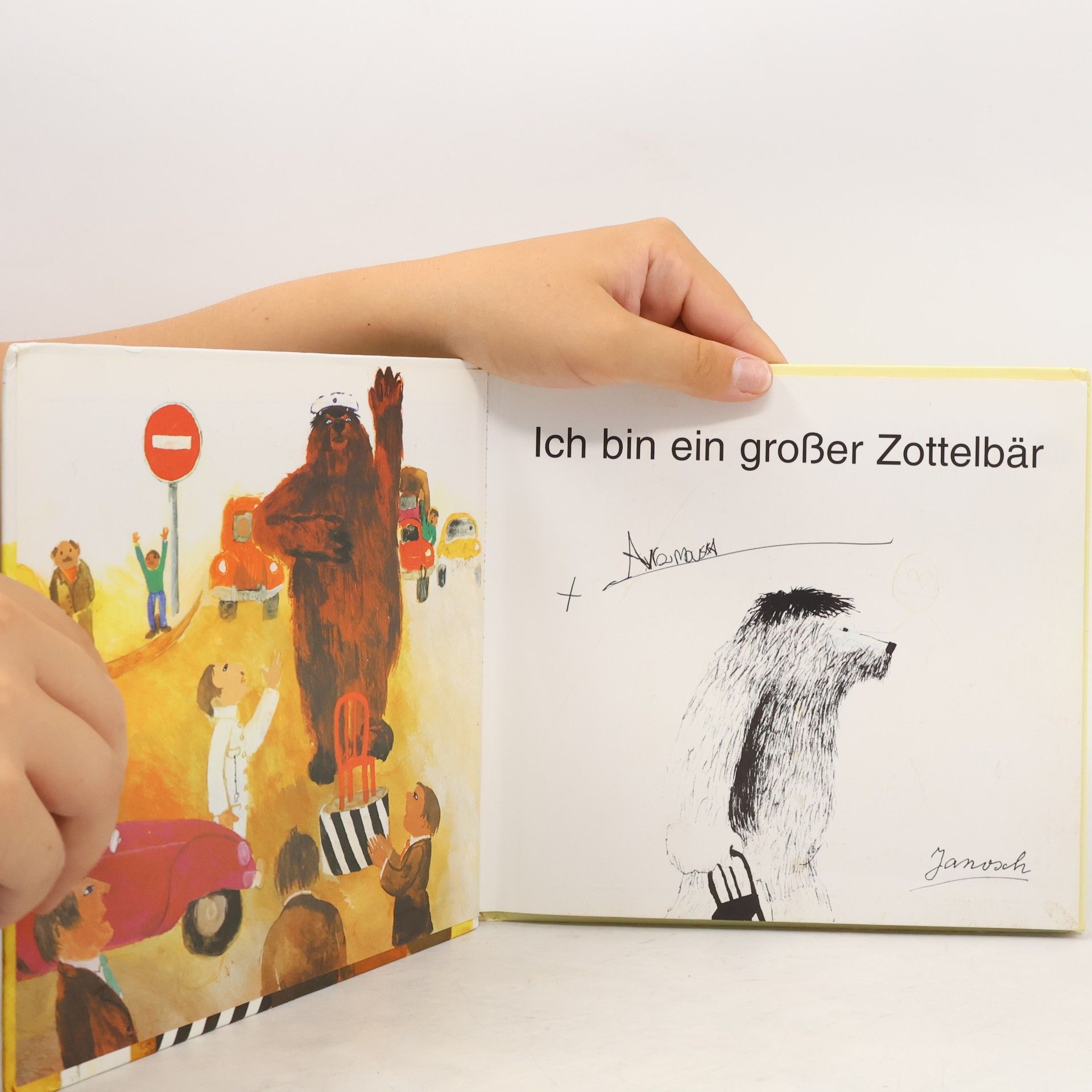 Janosch Ich bin ein großer Zottelbär