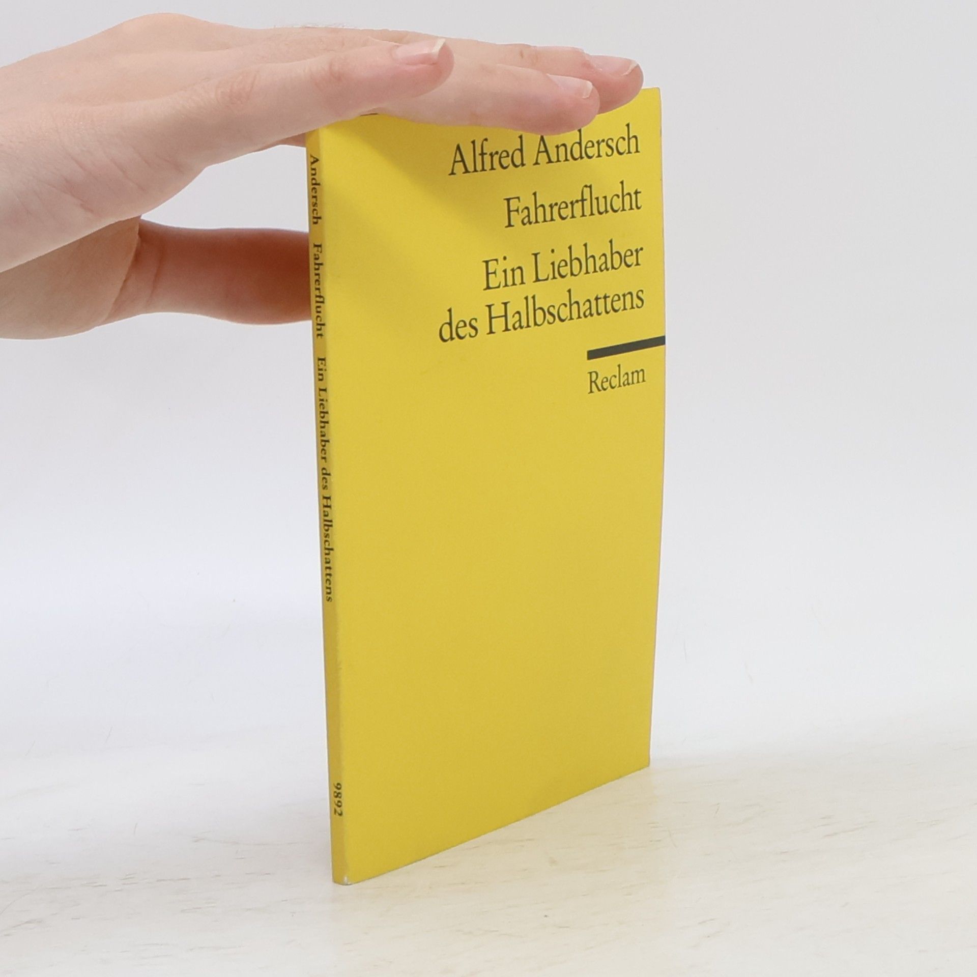 Fahrerflucht. Ein Liebhaber des Halbschattens