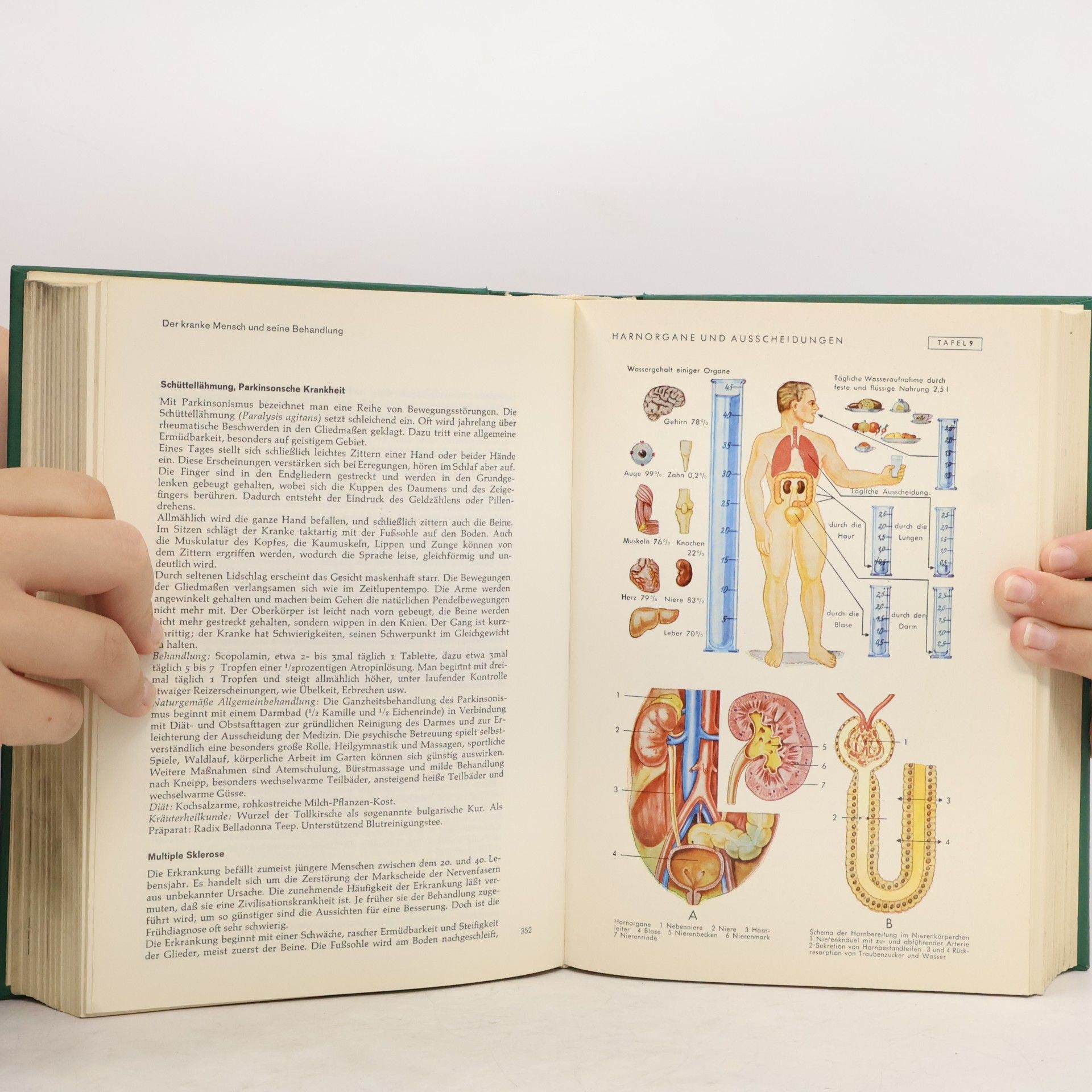 Autorenkollektiv Großes Hausbuch der Gesundheit