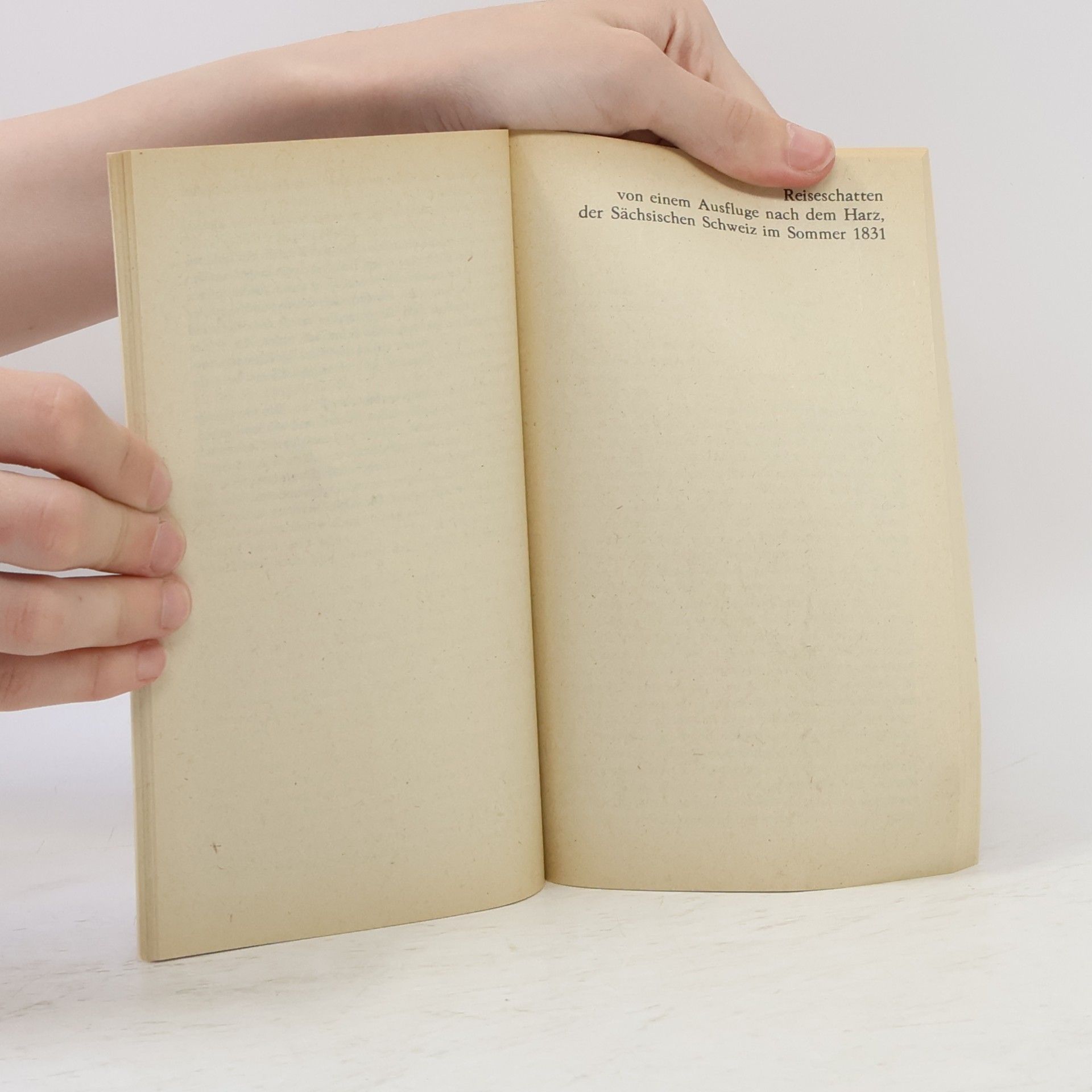 Hans Christian Andersen Bilderbuch ohne Bilder
