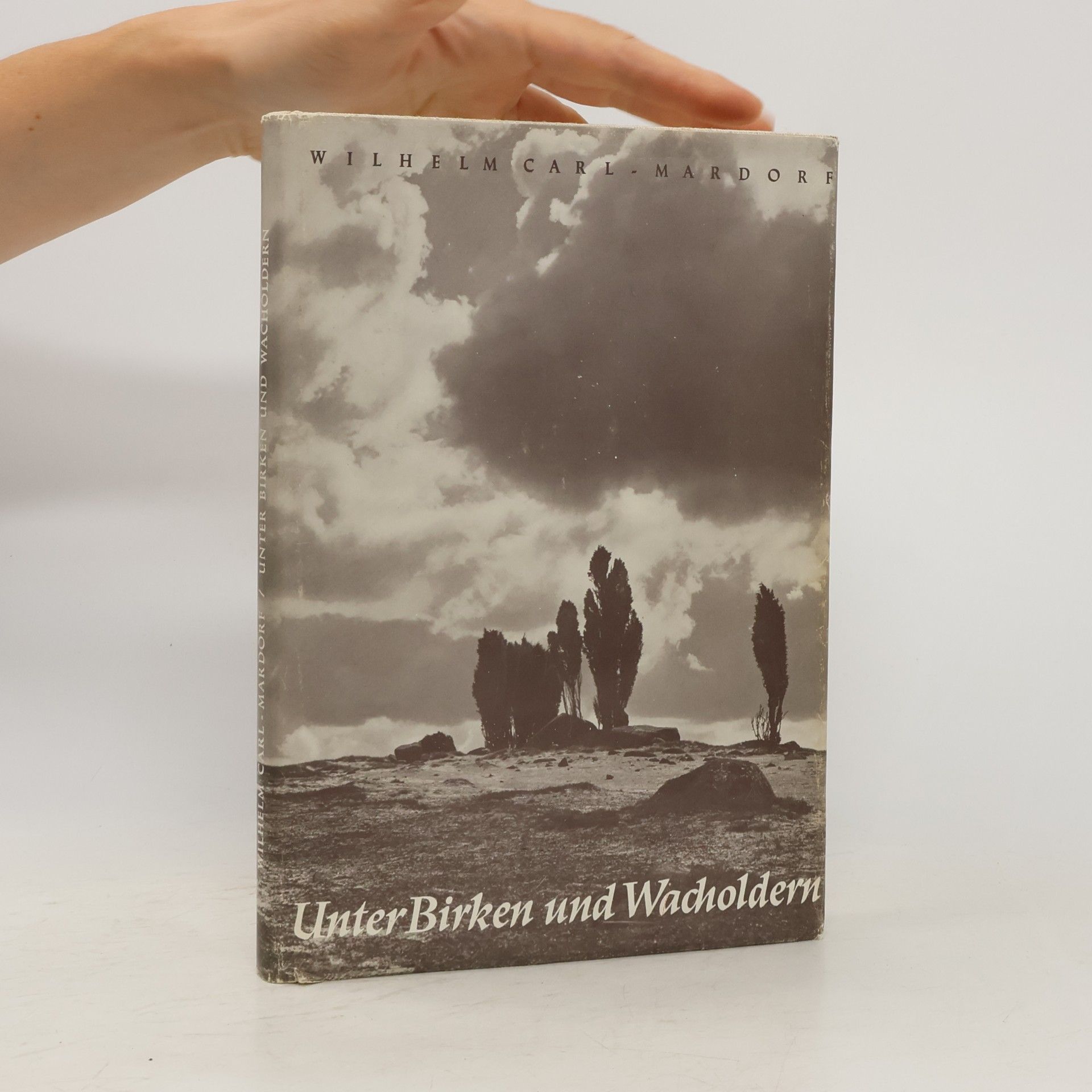 Unter Birken und Wacholdern