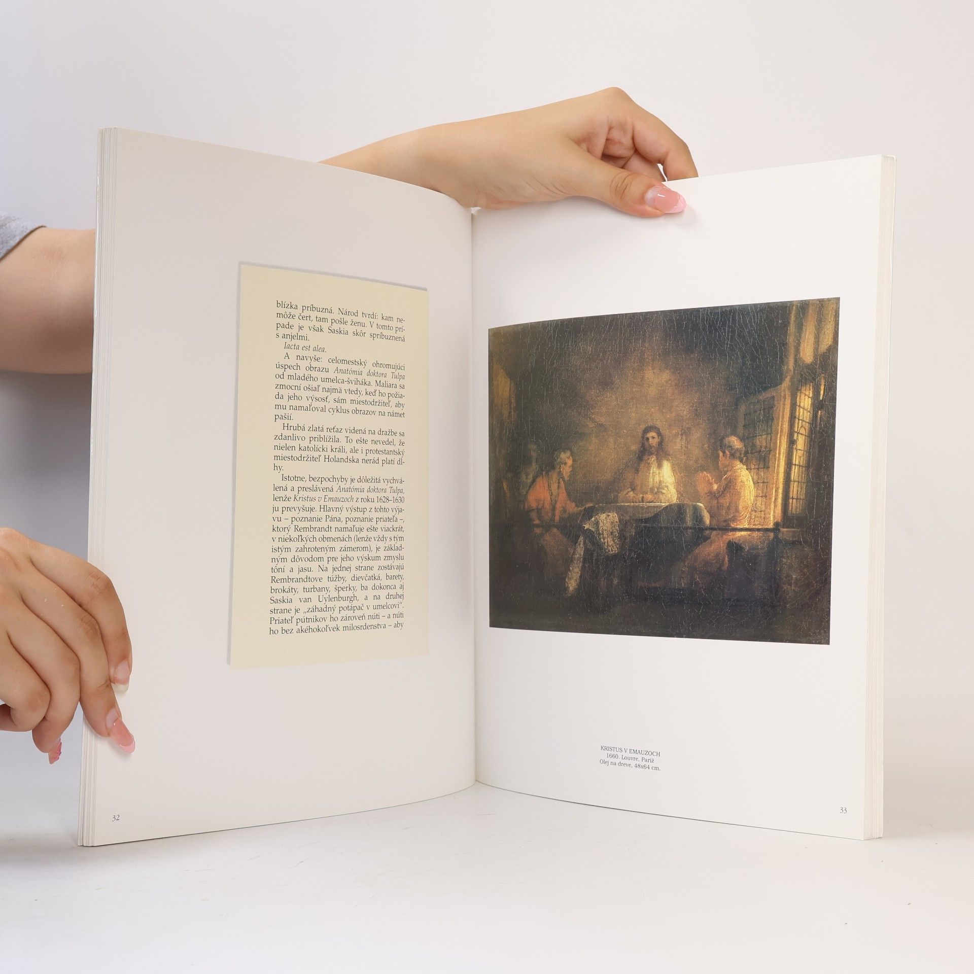Autorenkollektiv Rembrandt & Ján Johanides