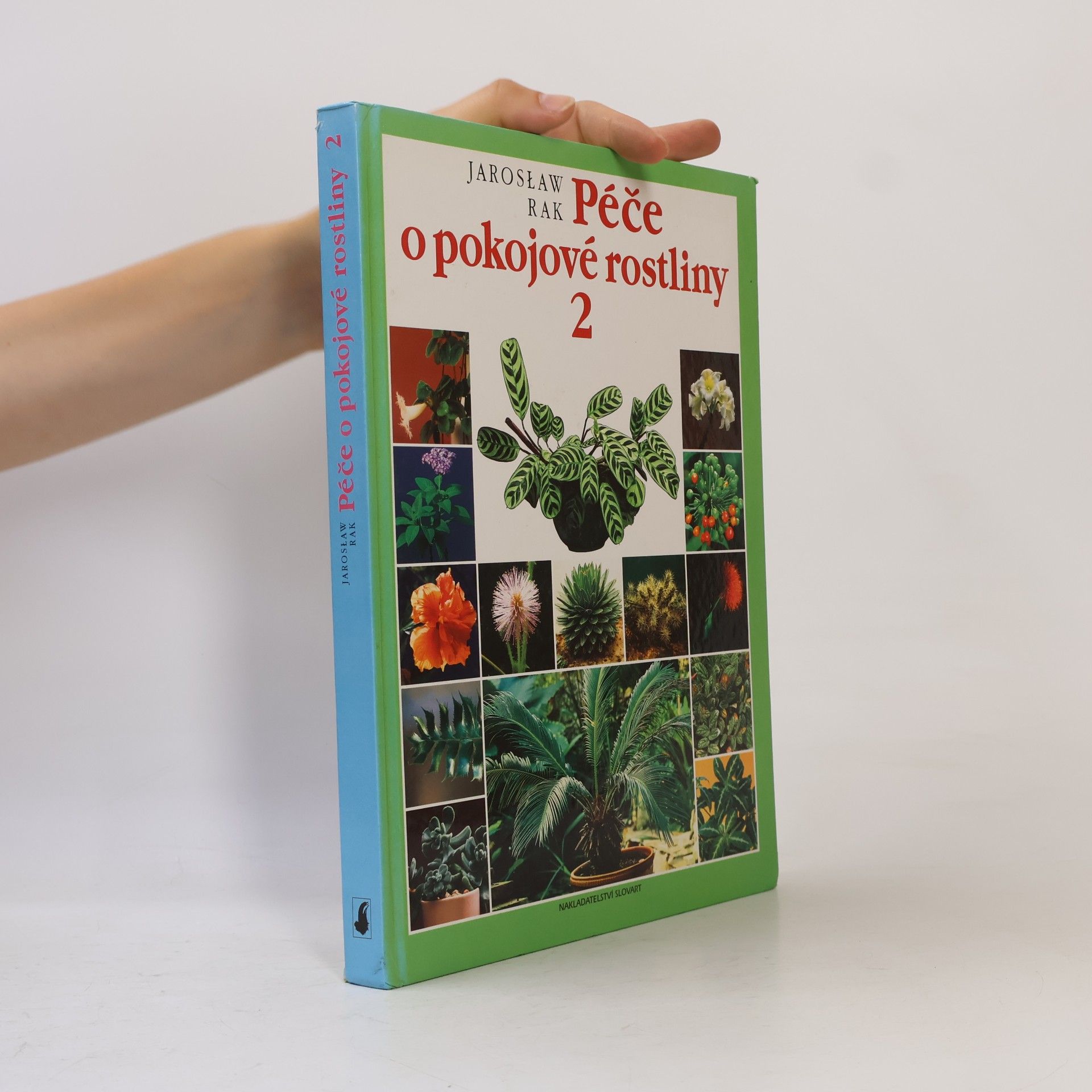 Jarosław Rak Péče o pokojové rostliny 2