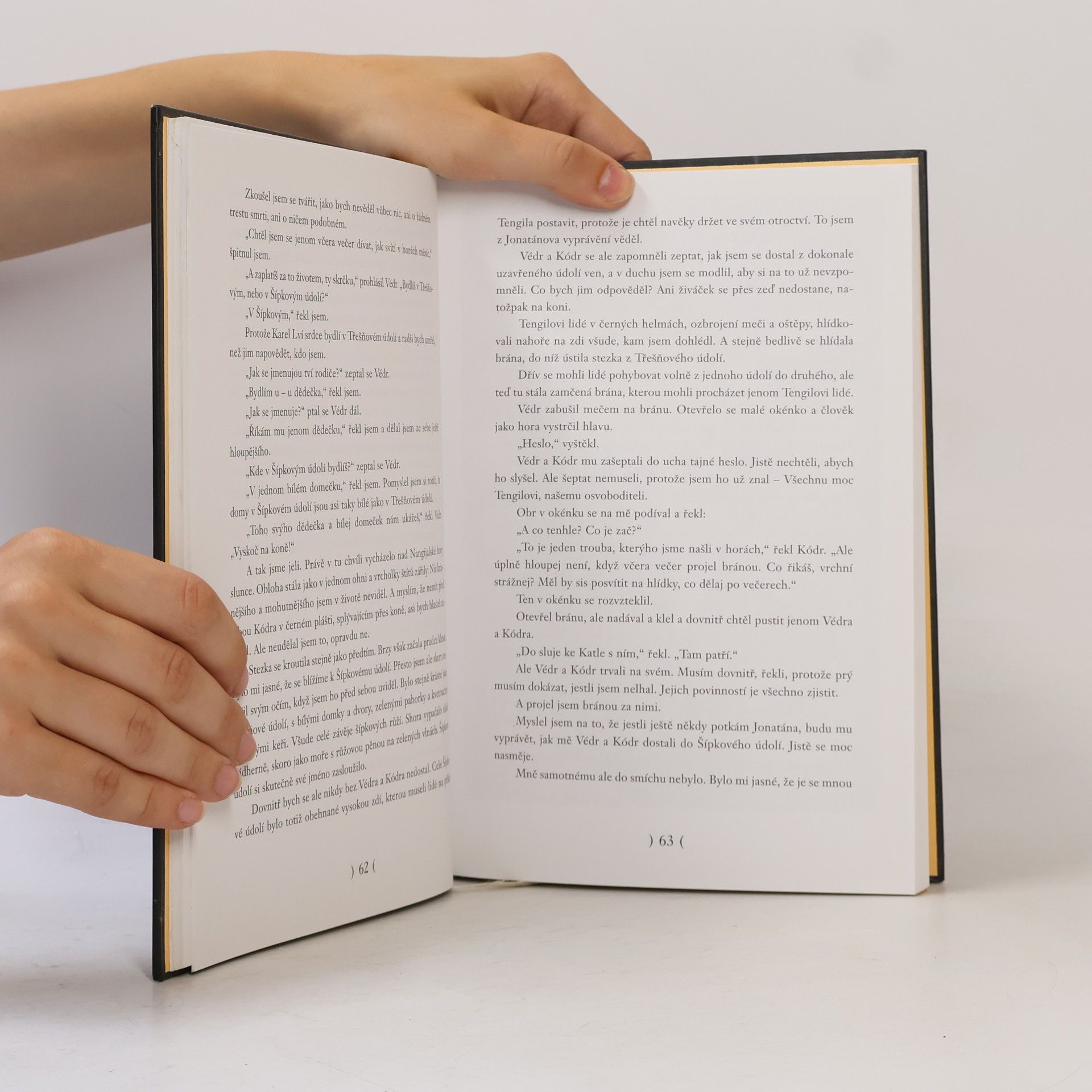Astrid Lindgrenová Bratři Lví srdce