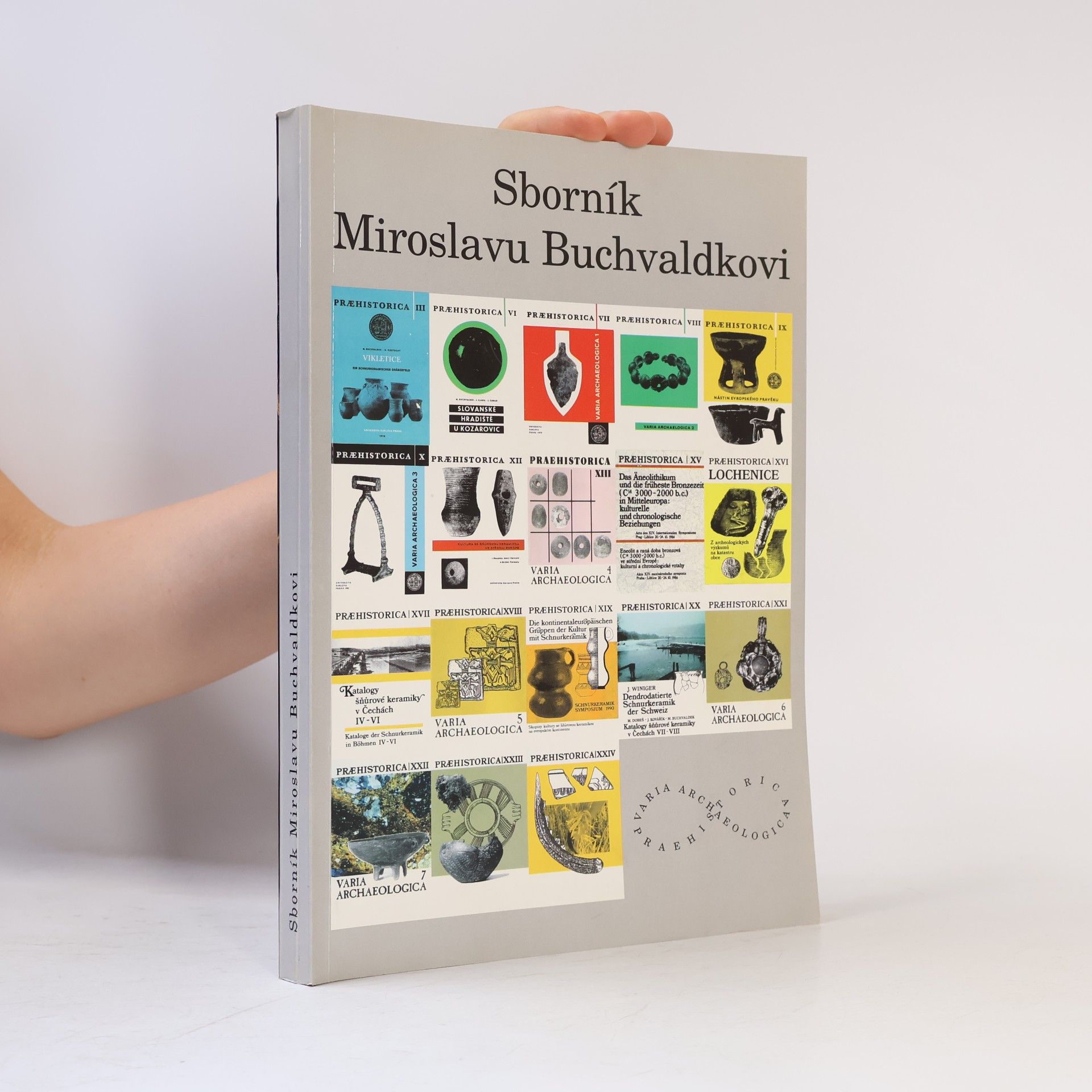 Kolektiv autorů Sborník Miroslavu Buchvaldkovi