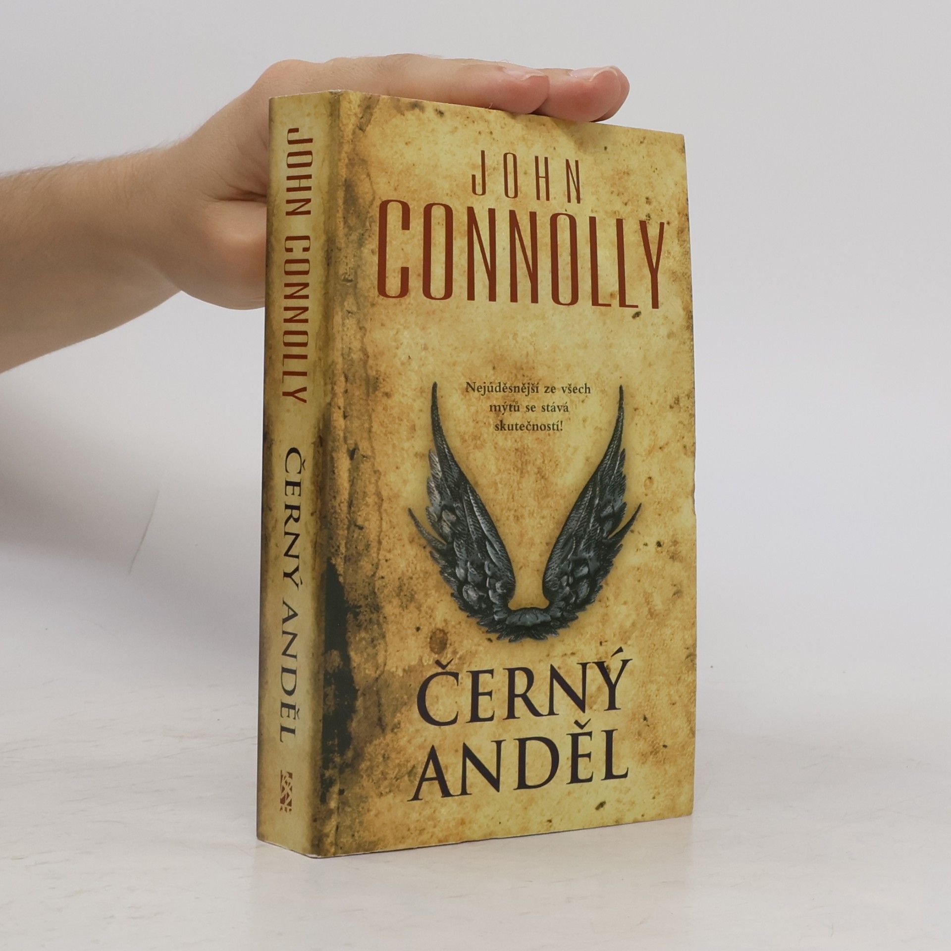 John Connolly Černý anděl