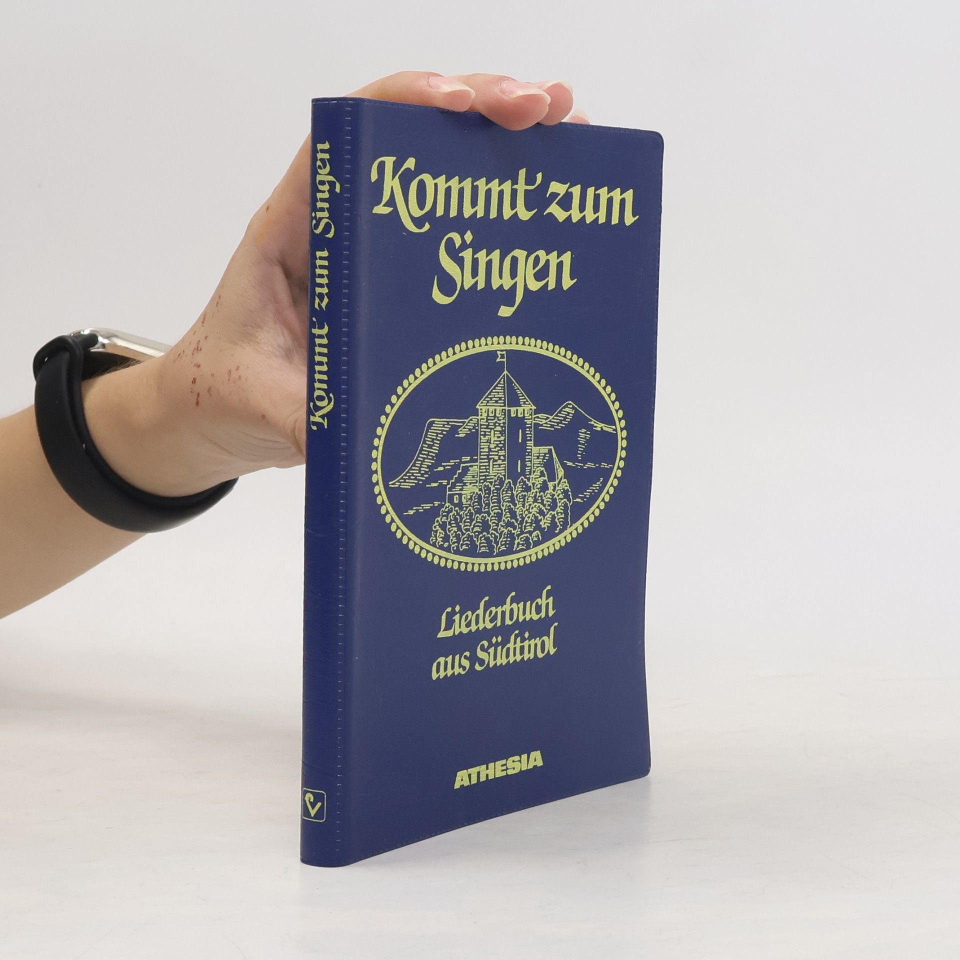 Gretl Brugger Kommt zum Singen: Liederbuch aus Südtirol