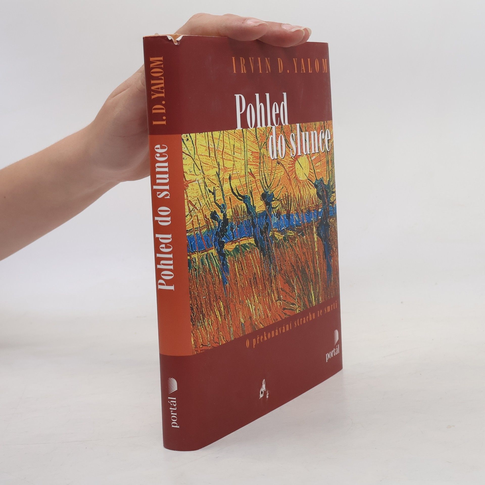 Irvin Yalom Pohled do slunce