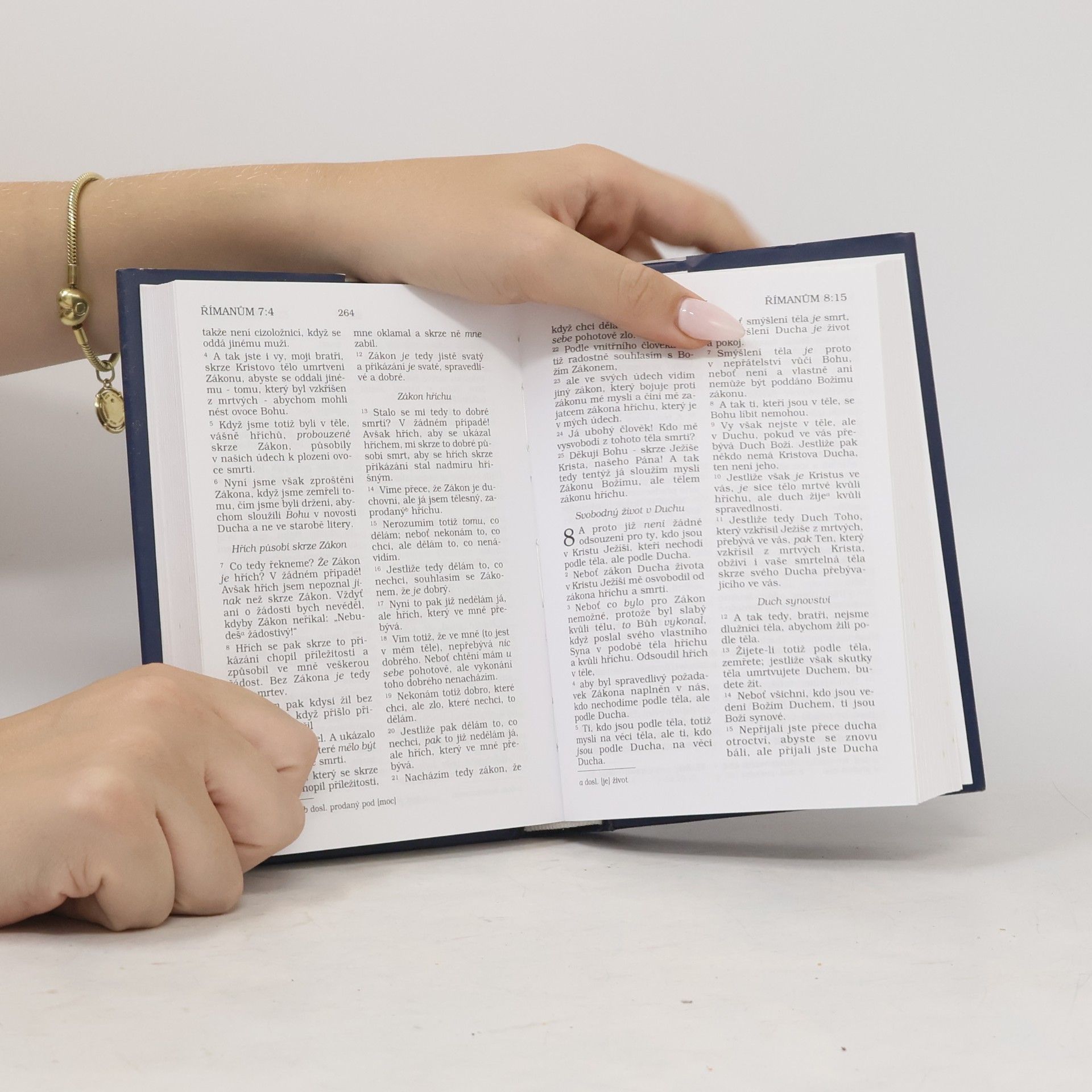 Alexandr Flek Bible. Nový zákon. Česky Nová Bible kralická. Nový Zákon našeho Pána Spasitele Ježíše Krista Nový Zákon našeho Pána Spasitele Ježíše Krist
