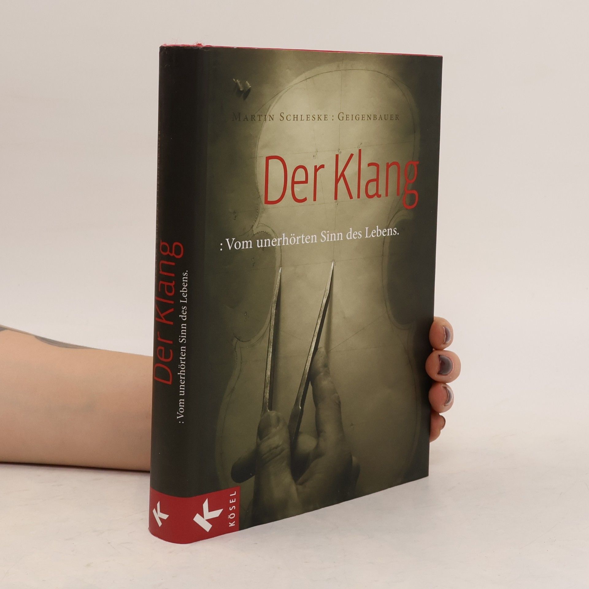 Martin Schleske Der Klang
