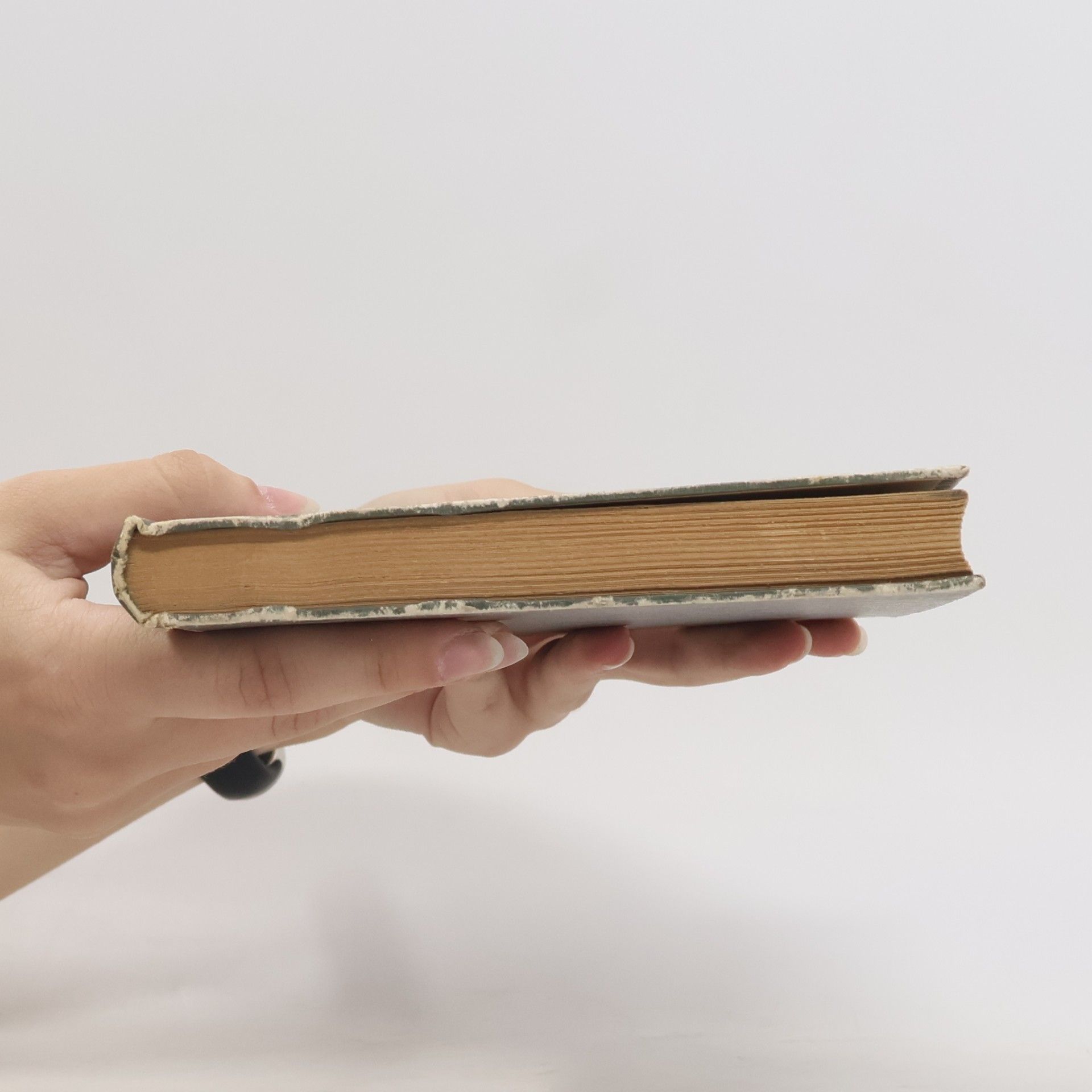 Autorenkollektiv Das ist Österreich