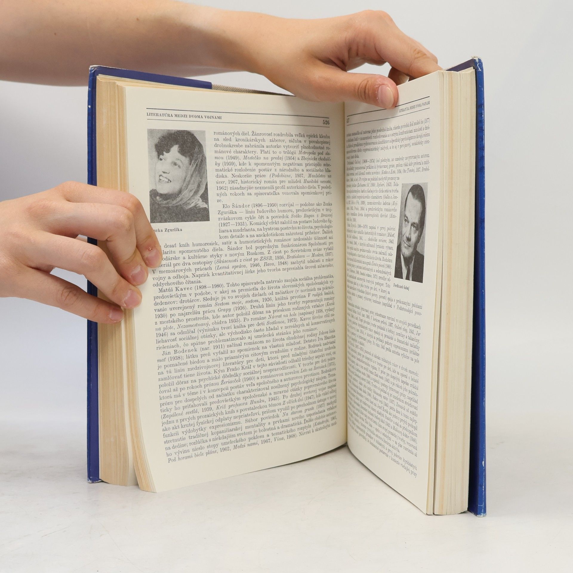 Milan Pišút Dejiny slovenskej literatúry