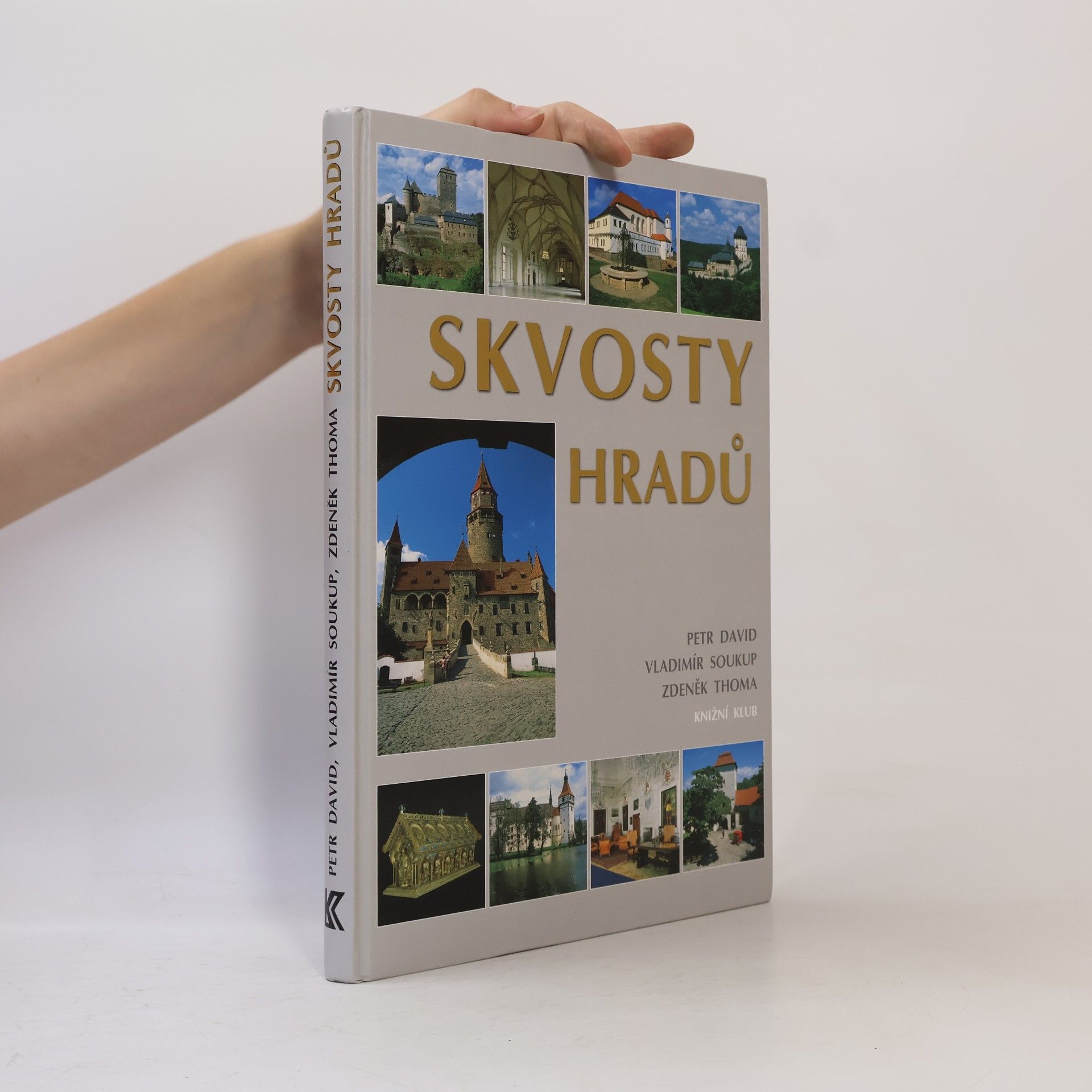 Peter David Skvosty hradů